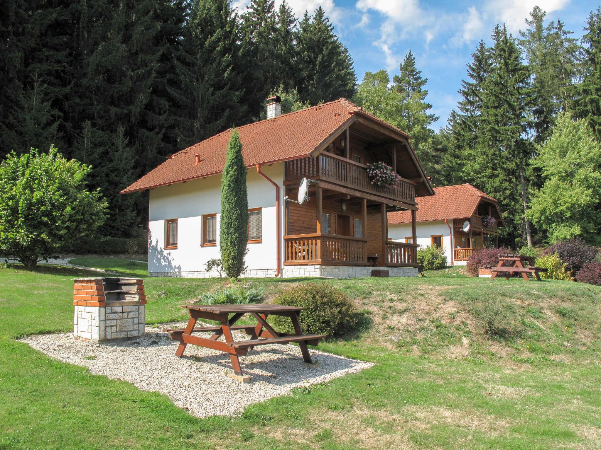 Foto 5 - Haus mit 3 Schlafzimmern in Borušov mit schwimmbad und garten