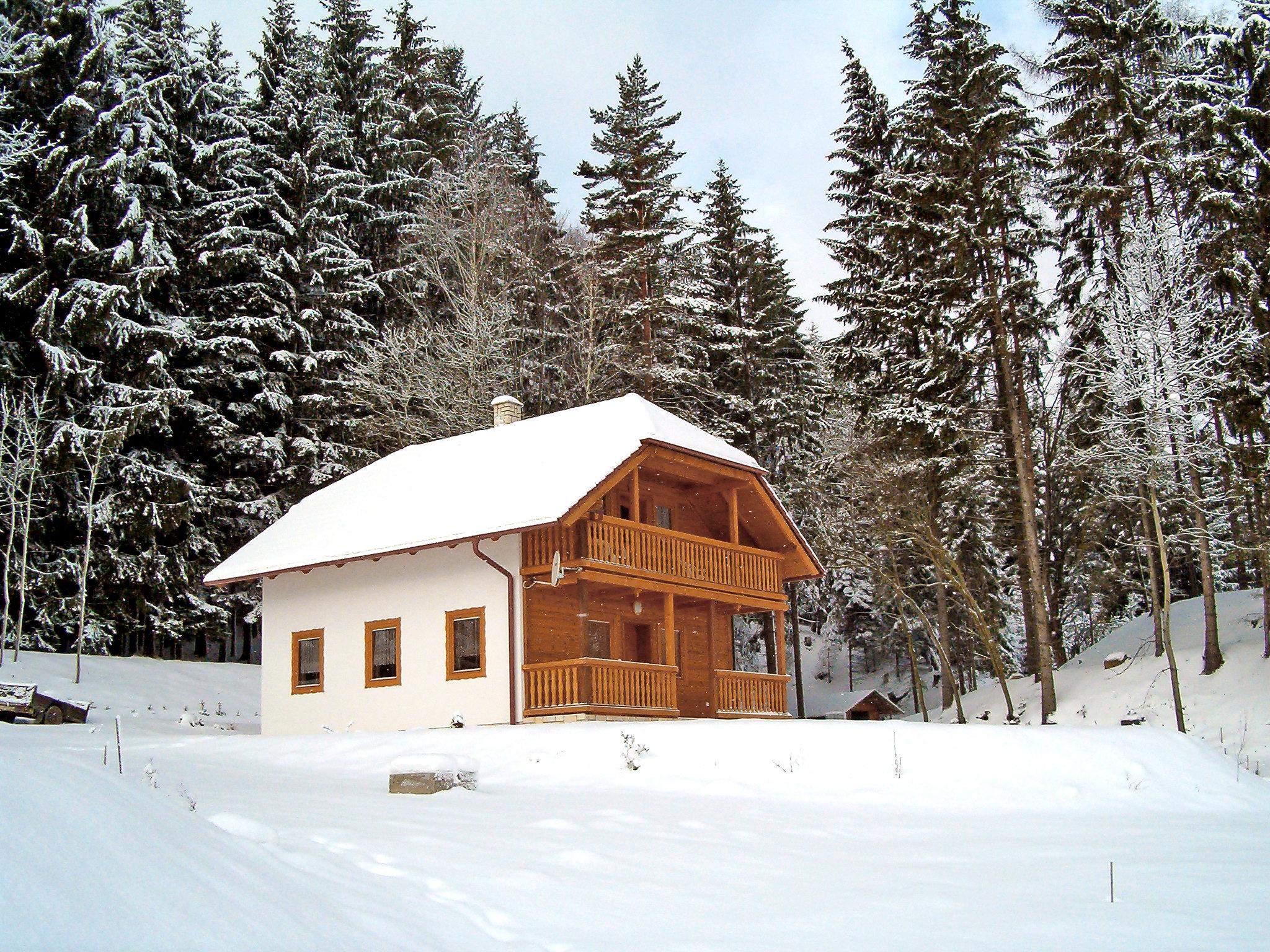 Foto 19 - Haus mit 3 Schlafzimmern in Borušov mit schwimmbad und garten