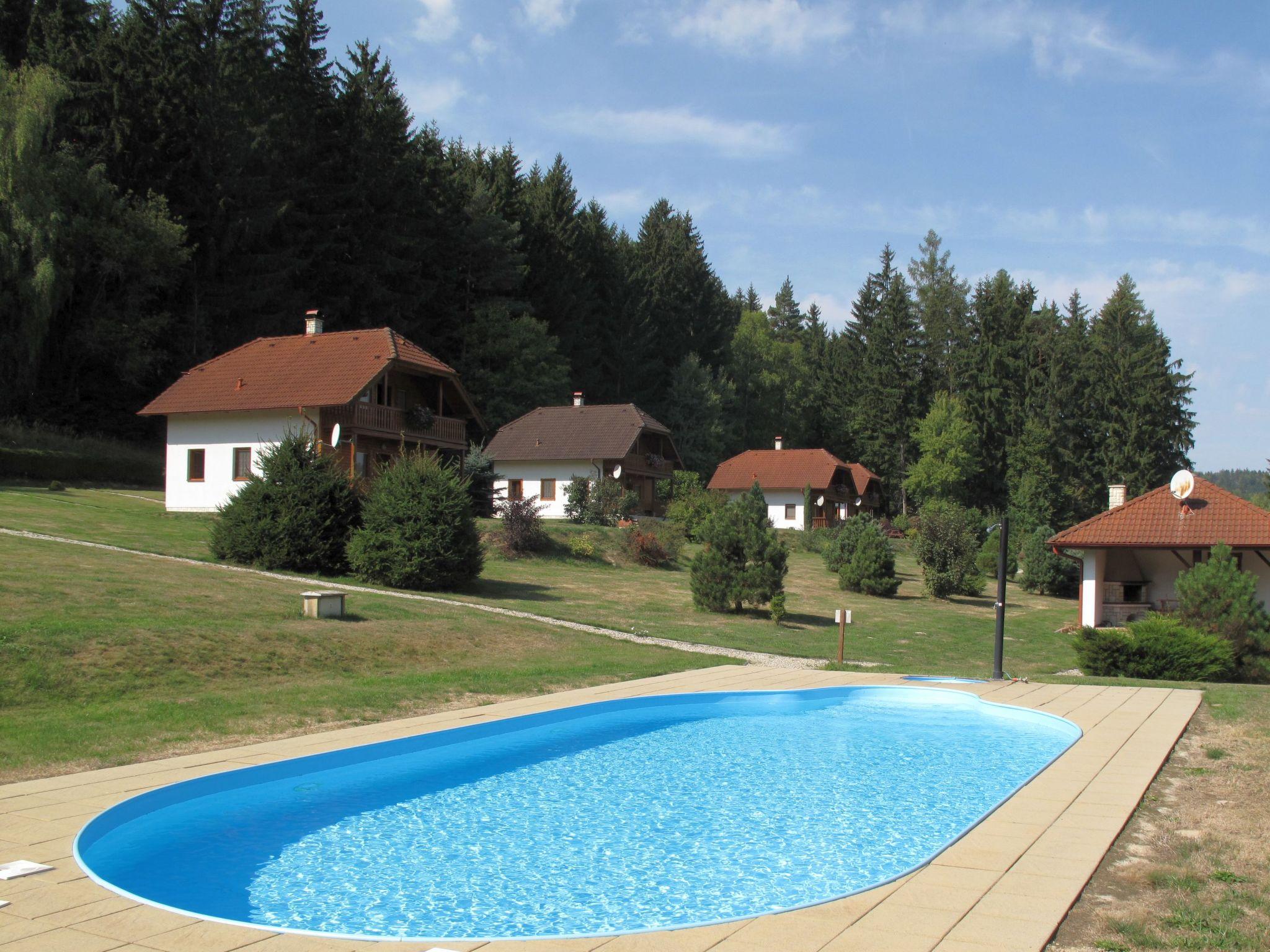 Foto 1 - Casa de 3 quartos em Borušov com piscina e jardim