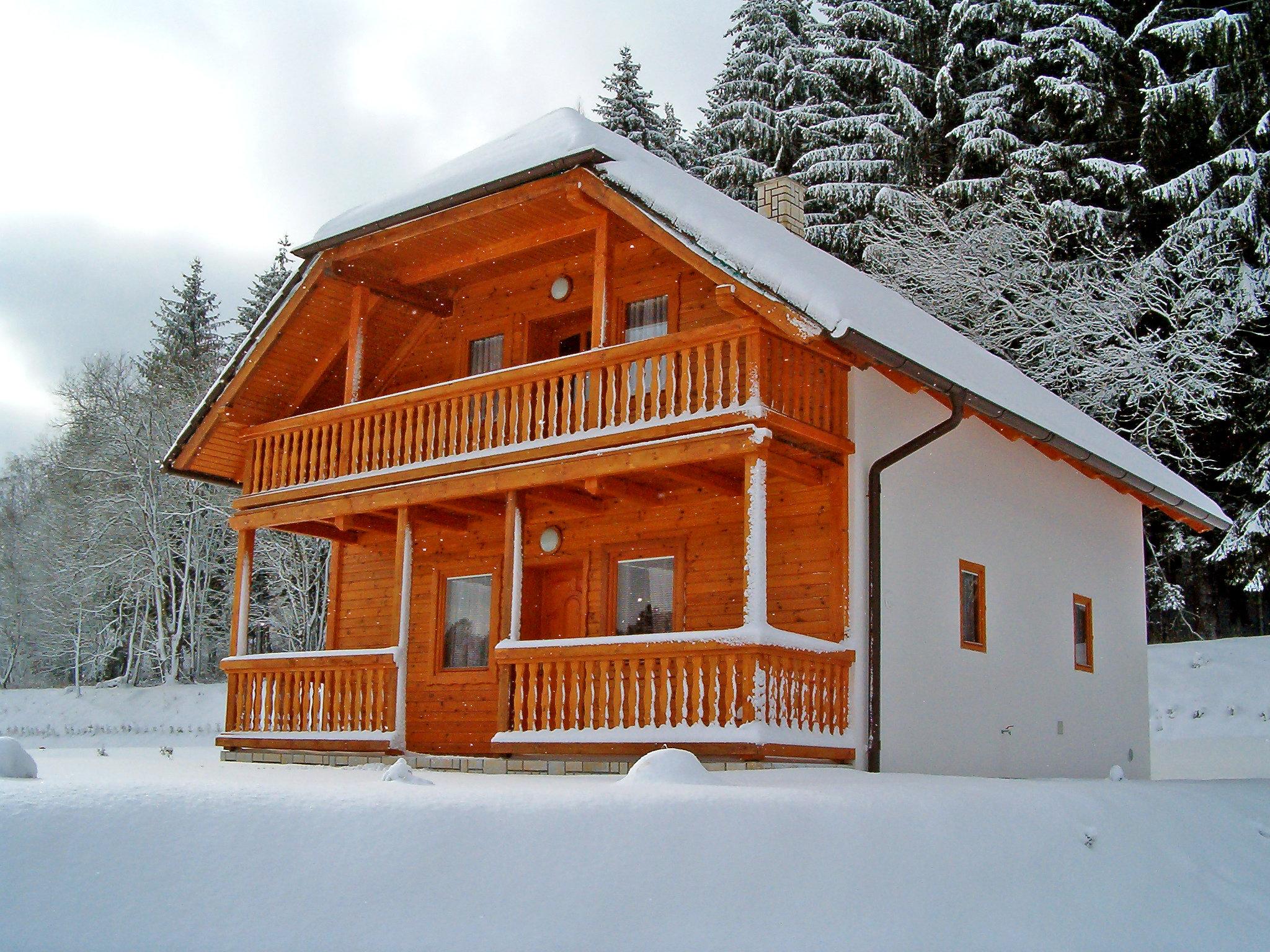 Foto 20 - Haus mit 3 Schlafzimmern in Borušov mit schwimmbad und garten