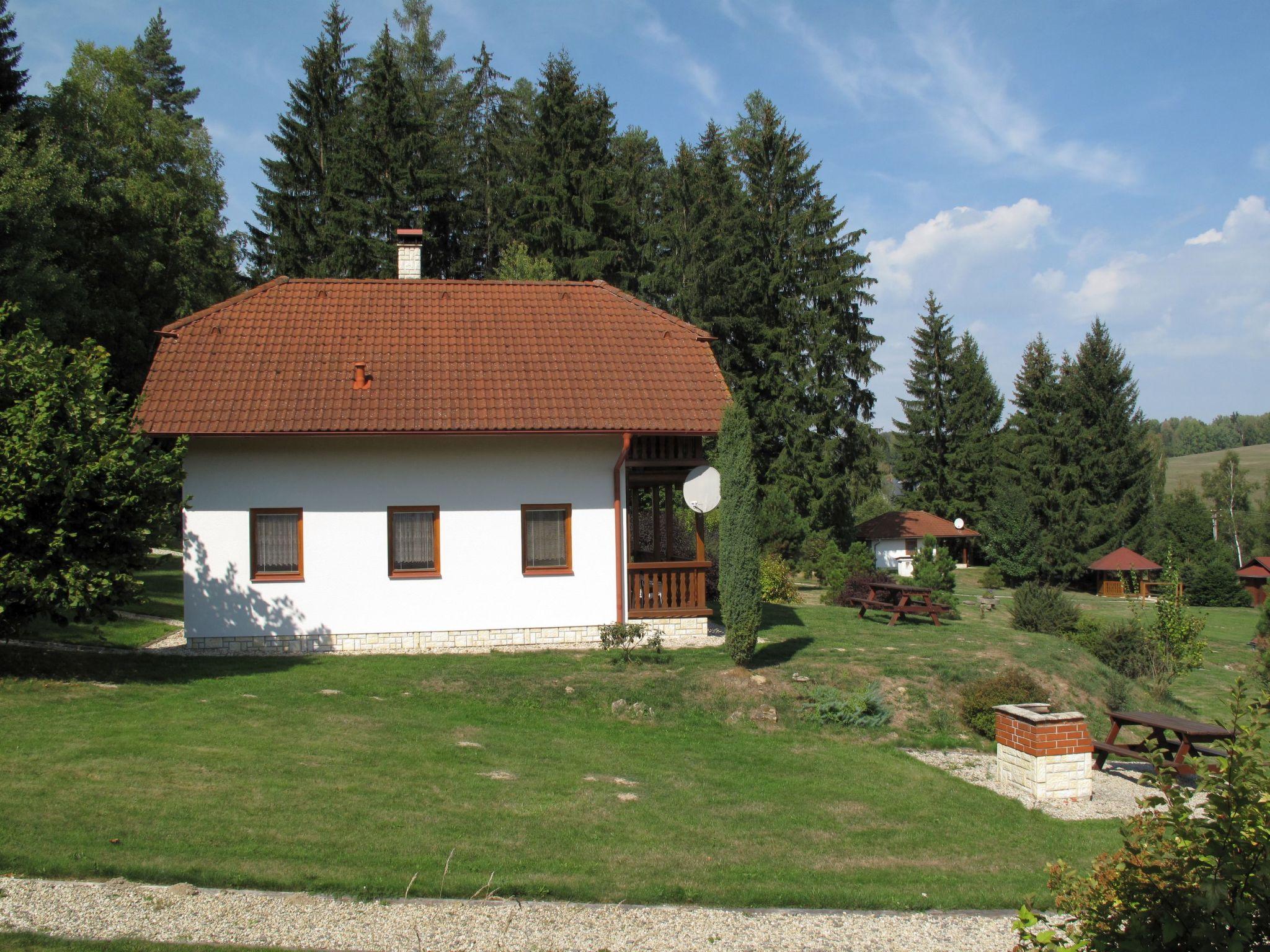 Foto 12 - Haus mit 3 Schlafzimmern in Borušov mit schwimmbad und garten