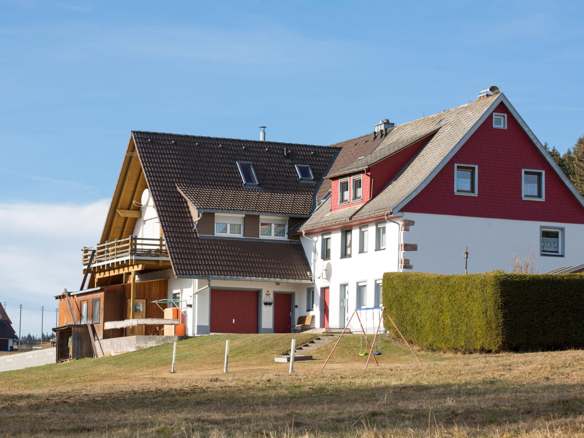 Foto 17 - Apartamento de 2 habitaciones en Eisenbach (Hochschwarzwald) con jardín