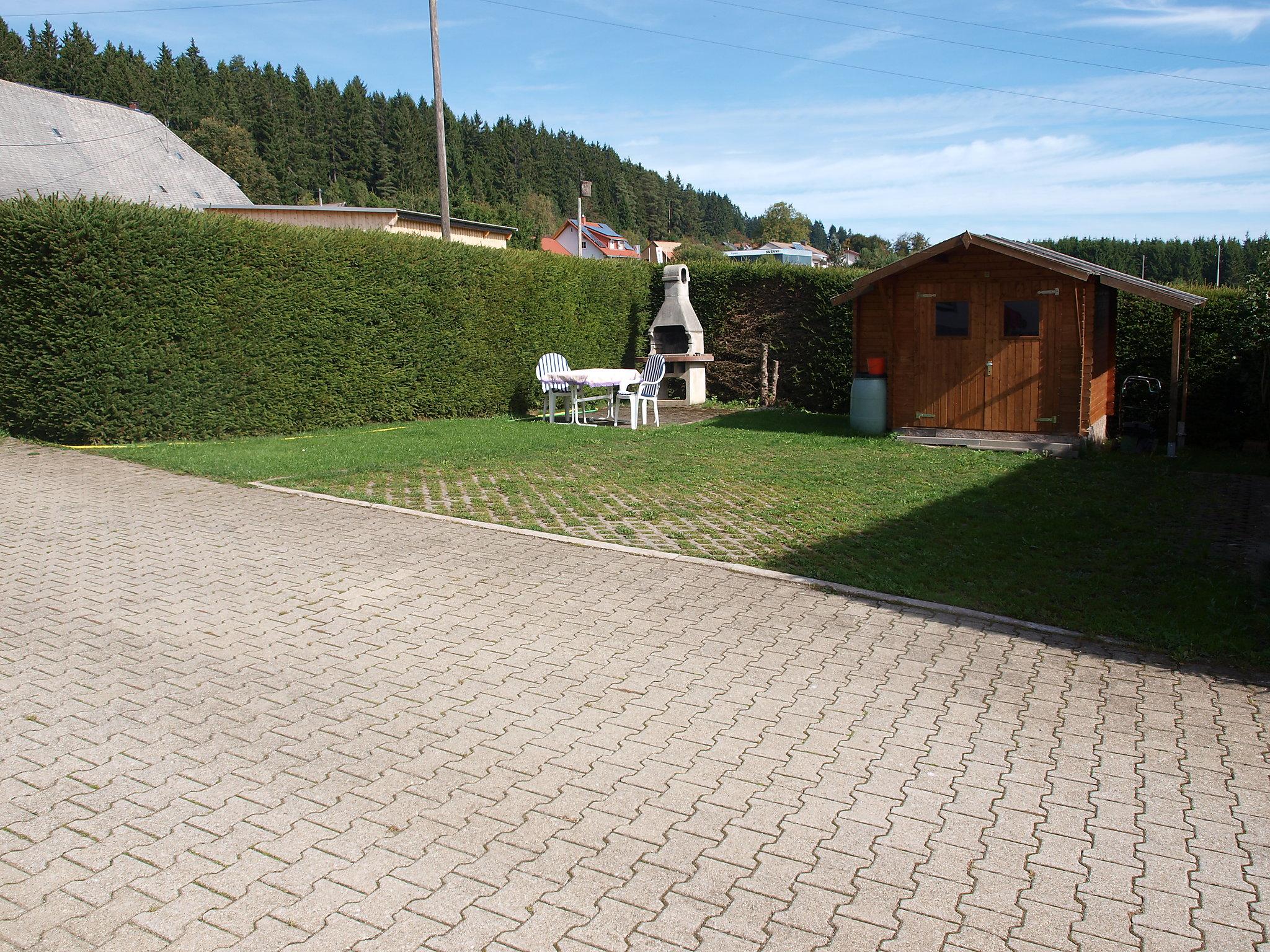 Foto 19 - Apartamento de 2 habitaciones en Eisenbach (Hochschwarzwald) con jardín y vistas a la montaña