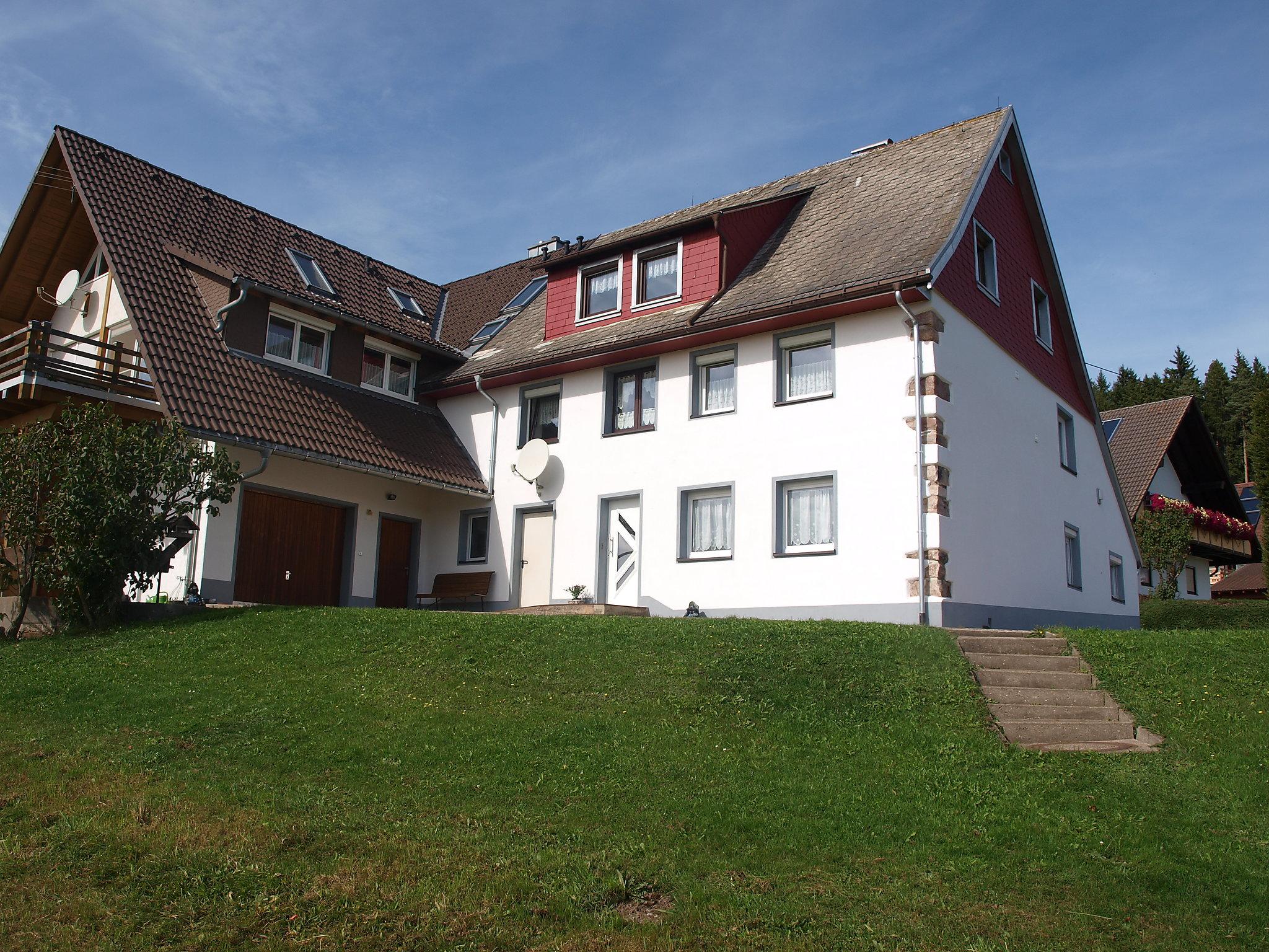 Foto 16 - Apartamento de 2 habitaciones en Eisenbach (Hochschwarzwald) con jardín y vistas a la montaña