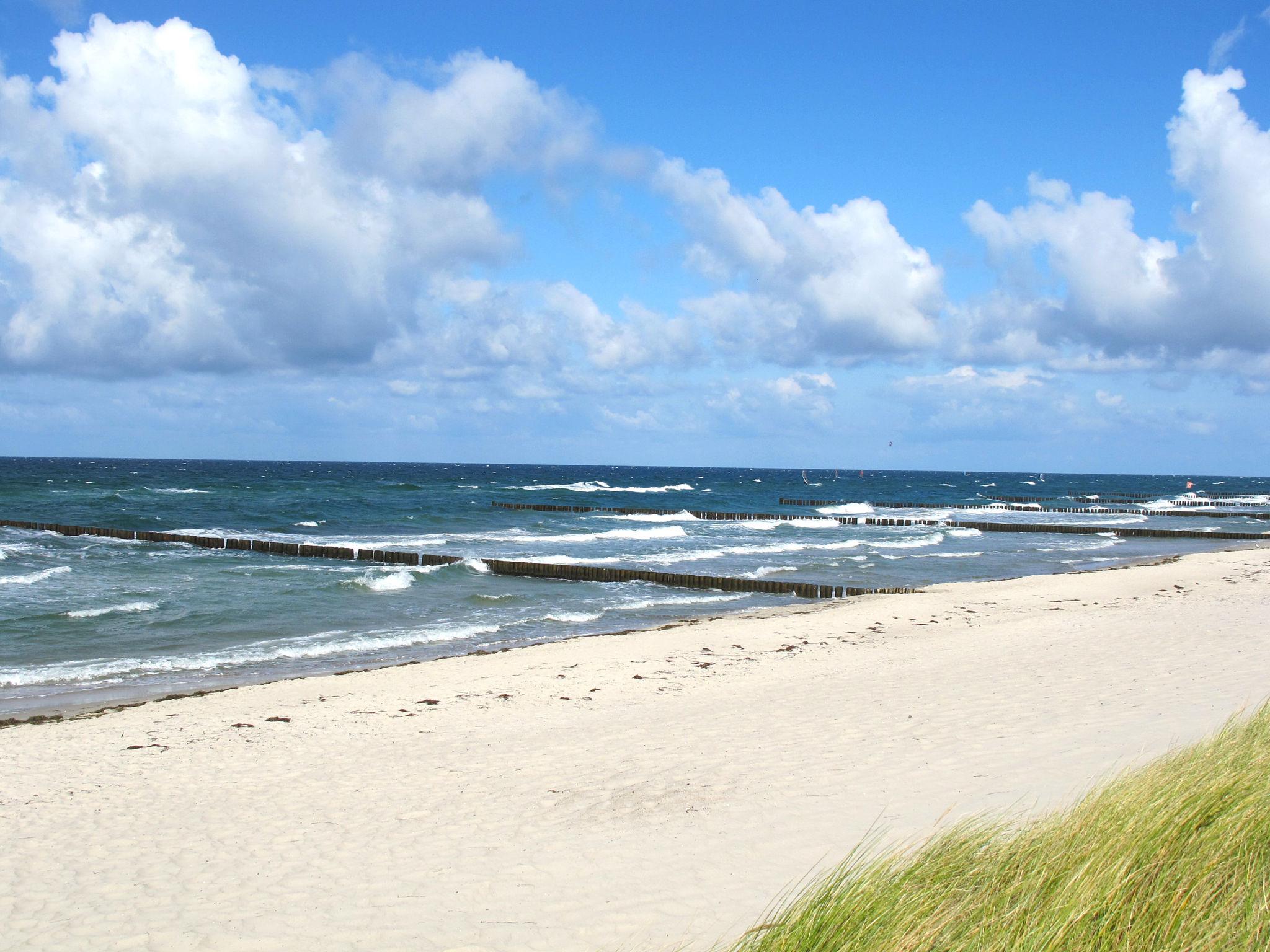 Photo 11 - Apartment in Prerow with garden and sea view