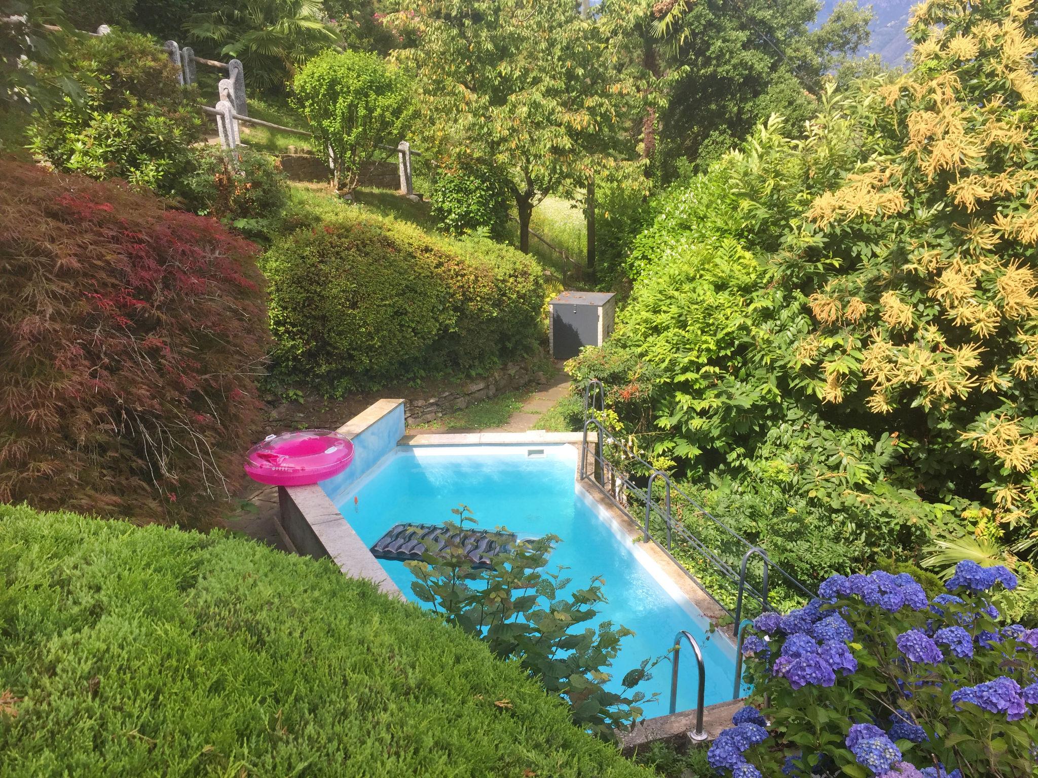 Foto 18 - Apartamento de 1 habitación en Gambarogno con piscina y jardín