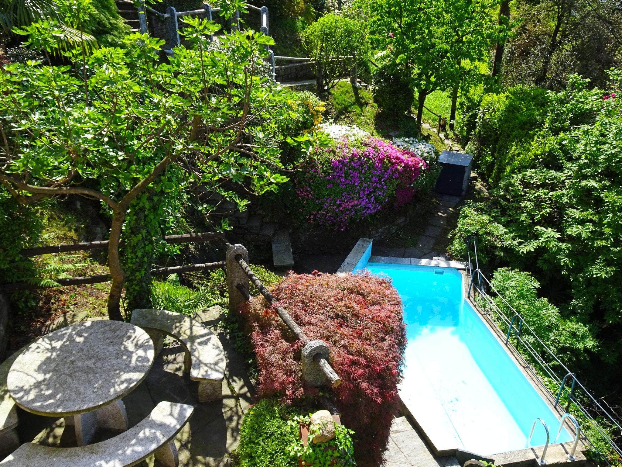 Photo 21 - Appartement de 1 chambre à Gambarogno avec piscine et jardin