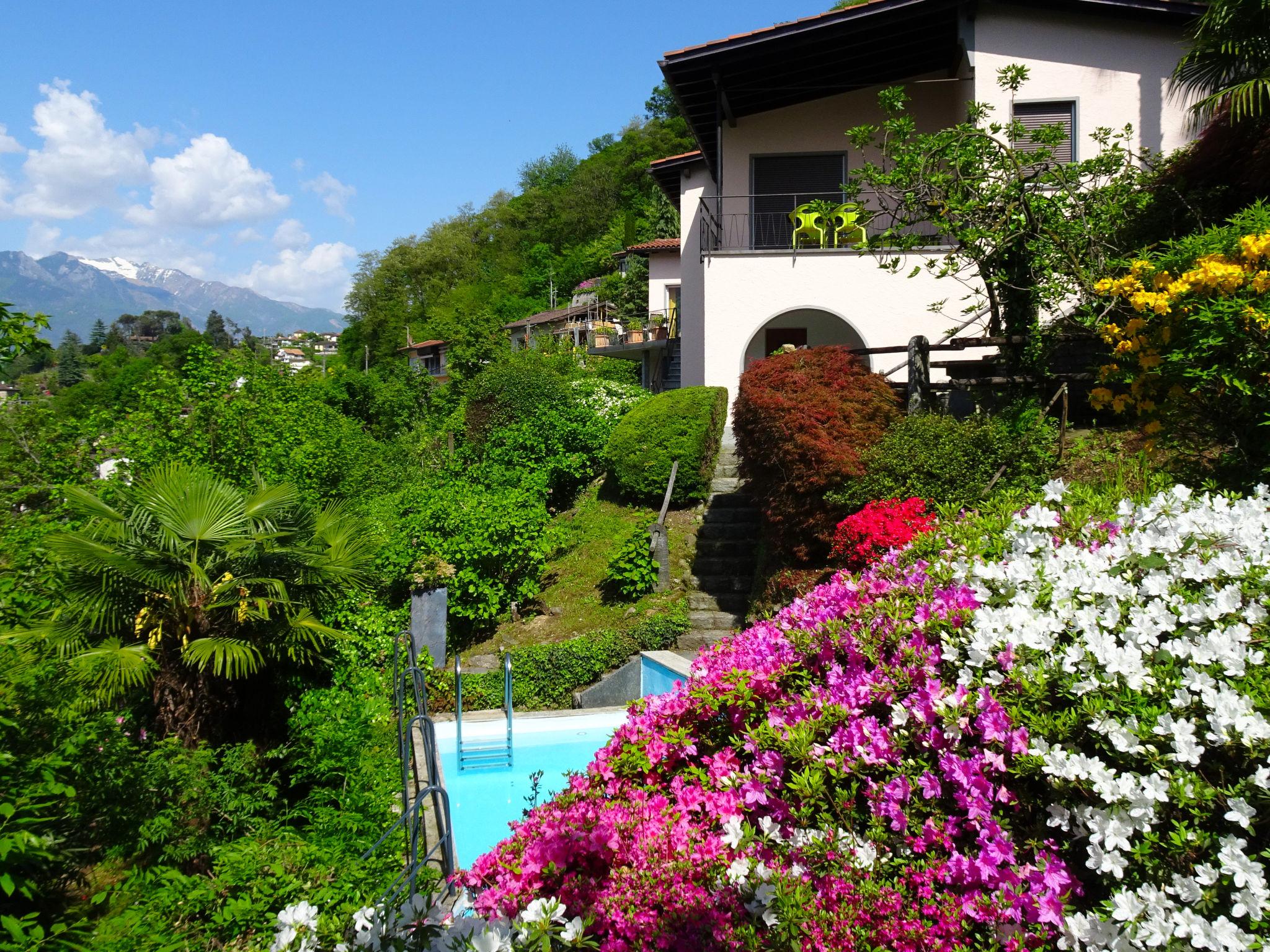 Foto 25 - Apartamento de 1 habitación en Gambarogno con piscina y jardín
