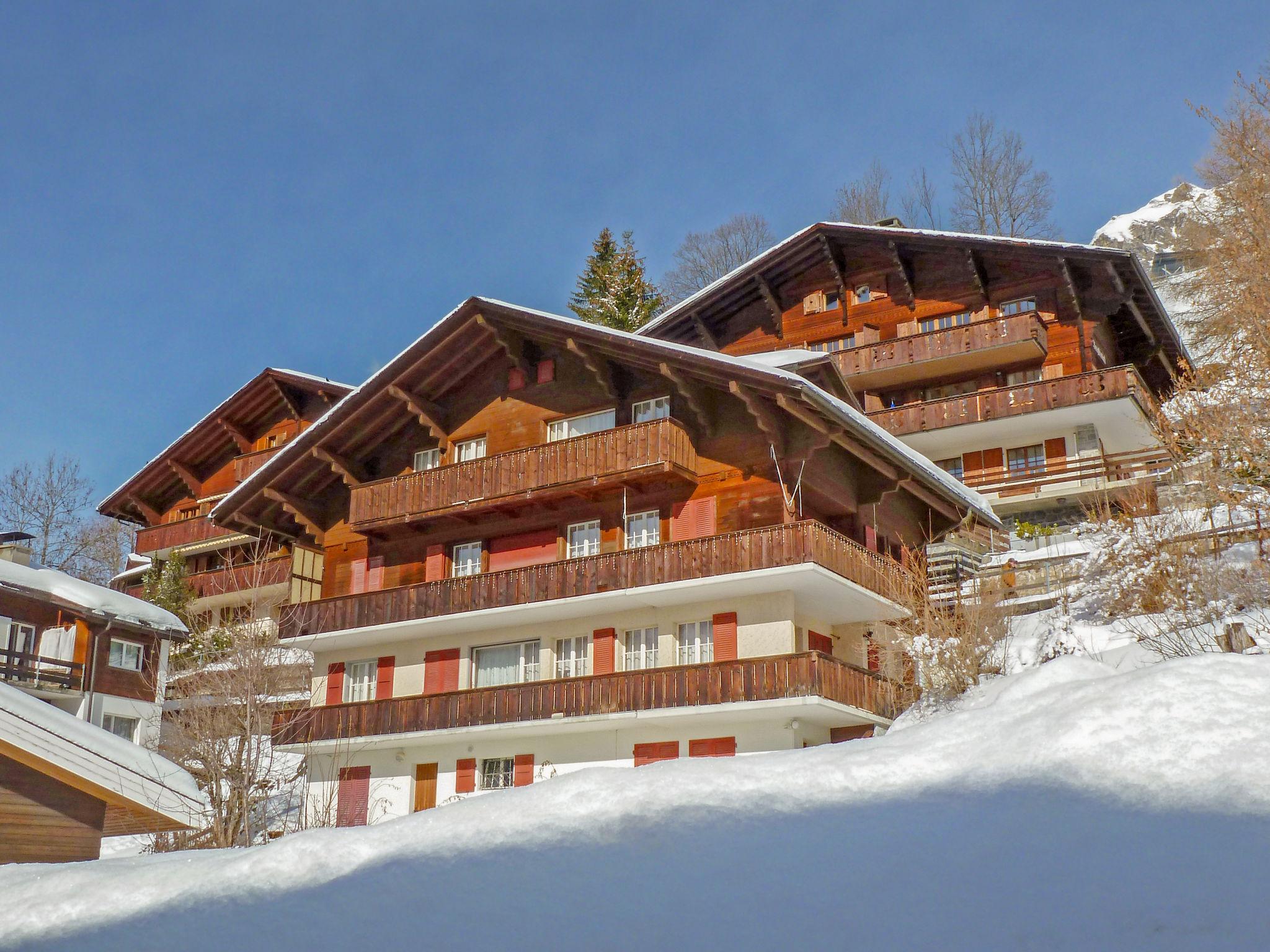 Foto 18 - Apartamento de 2 quartos em Lauterbrunnen com vista para a montanha