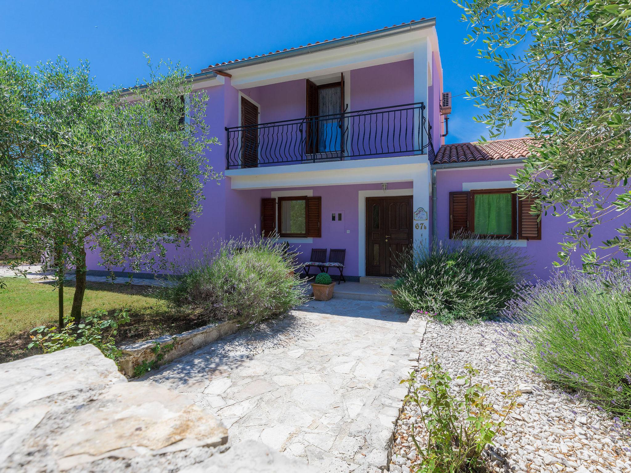 Photo 2 - 4 bedroom House in Marčana with private pool and garden