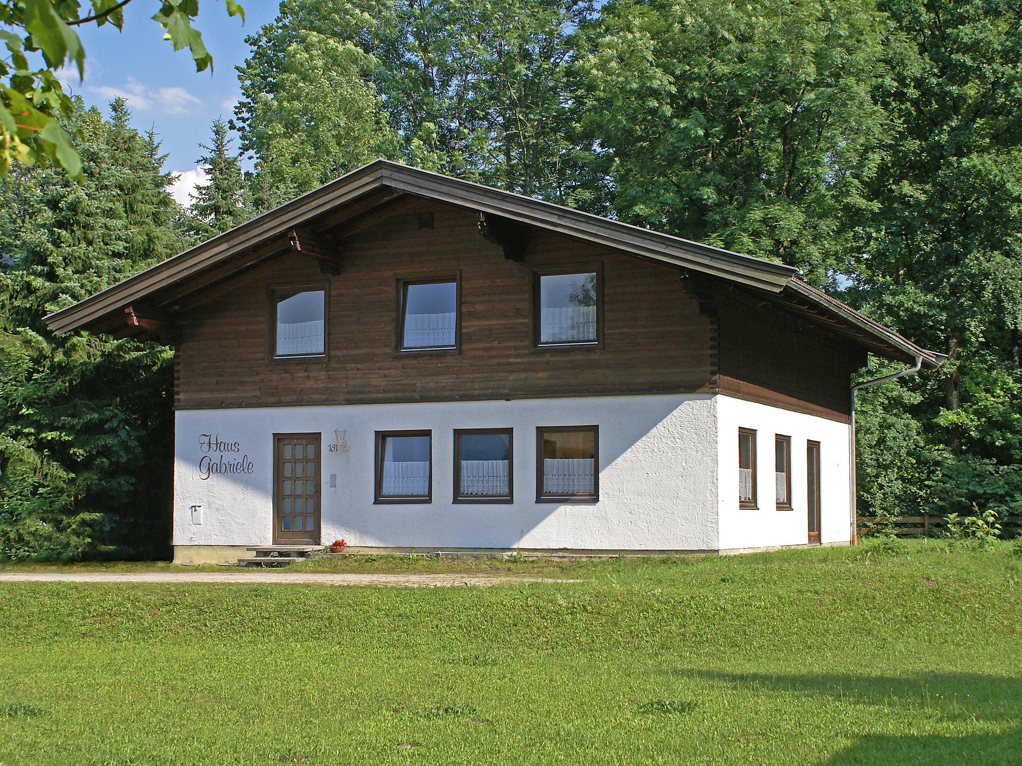 Photo 15 - Apartment in Sankt Martin bei Lofer with garden and mountain view