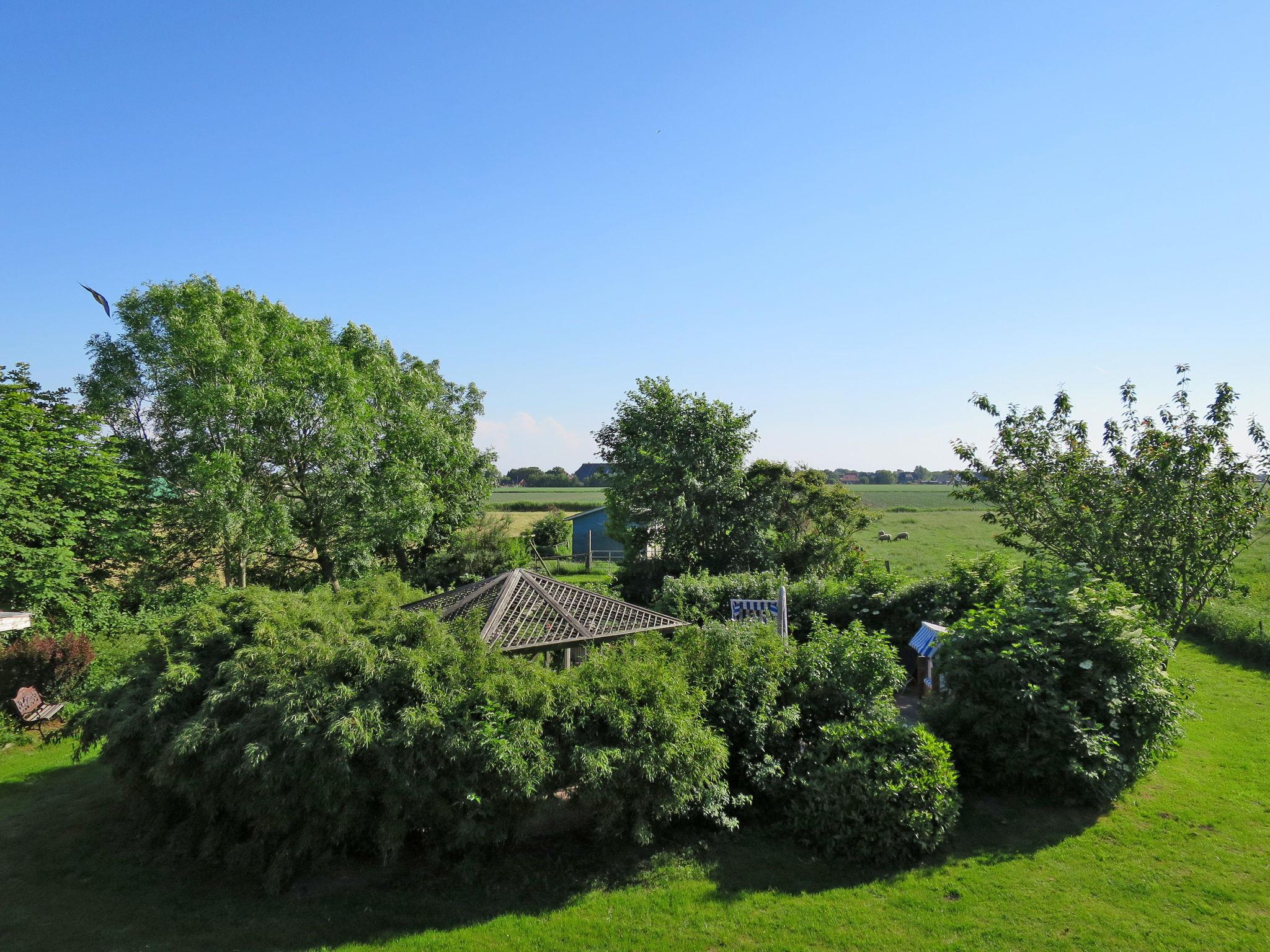 Photo 25 - 3 bedroom Apartment in Friedrichskoog with garden and sea view