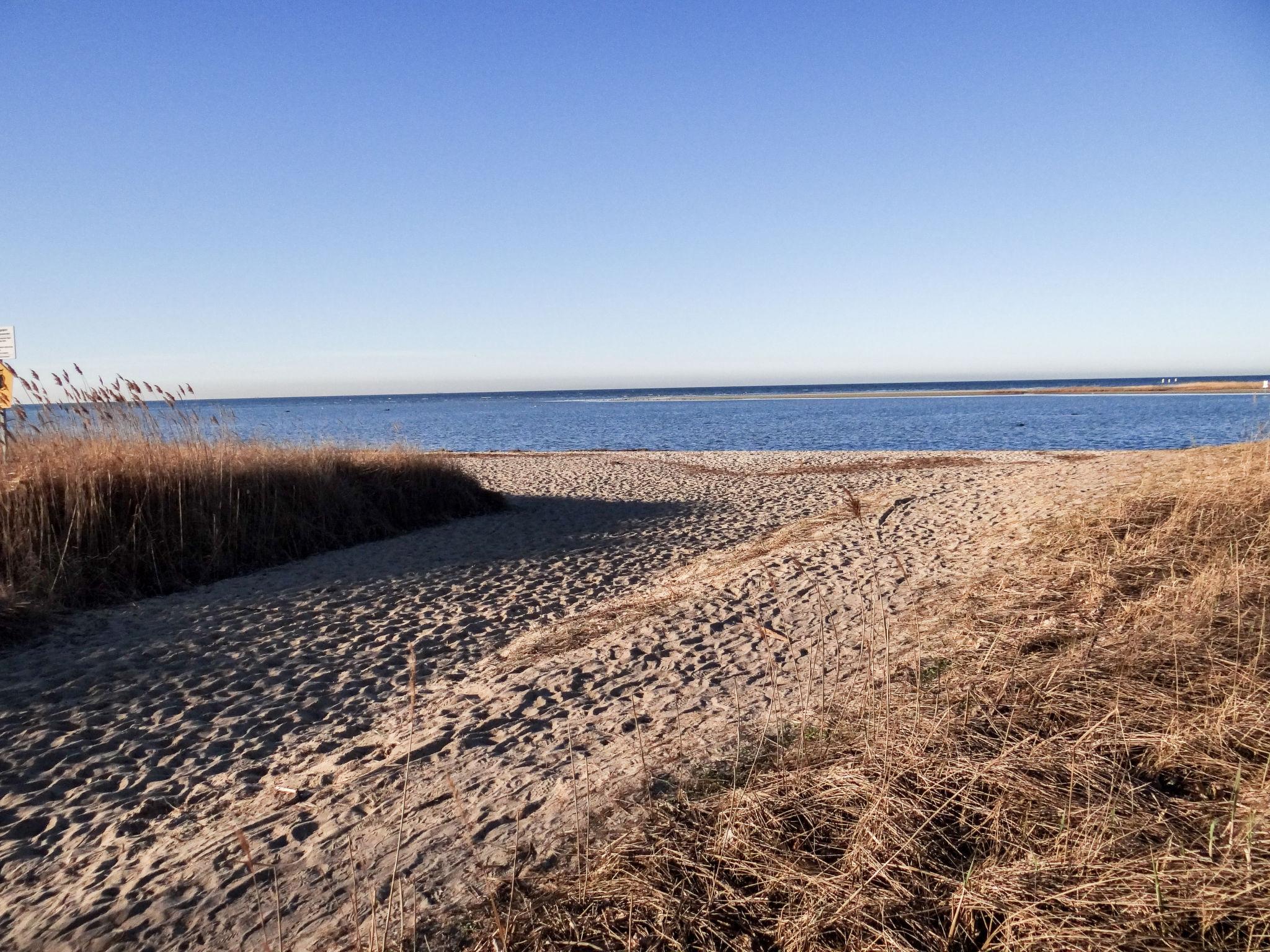 Photo 20 - Appartement en Insel Poel avec jardin