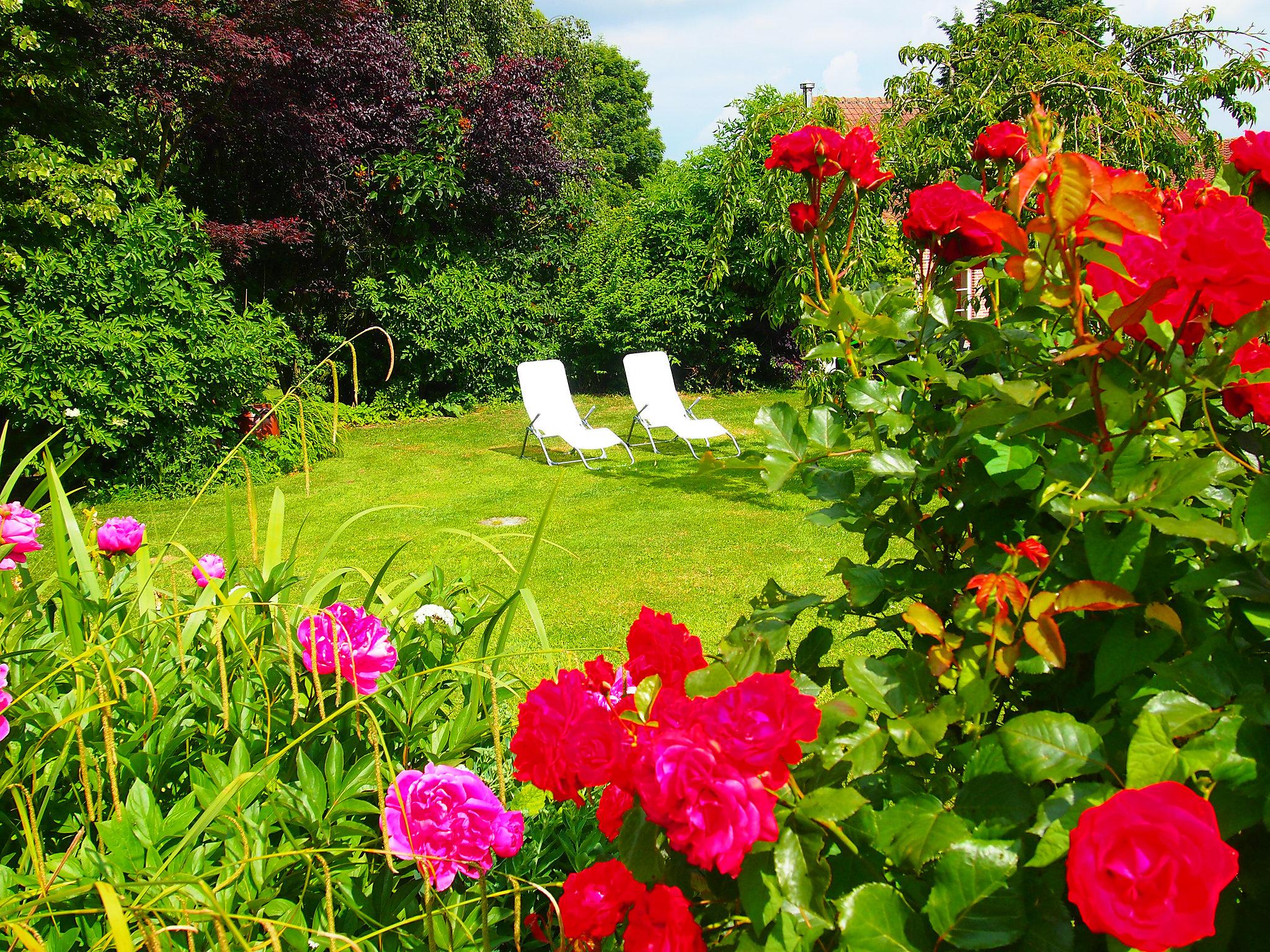 Foto 16 - Casa de 2 quartos em Ellezelles com jardim e terraço