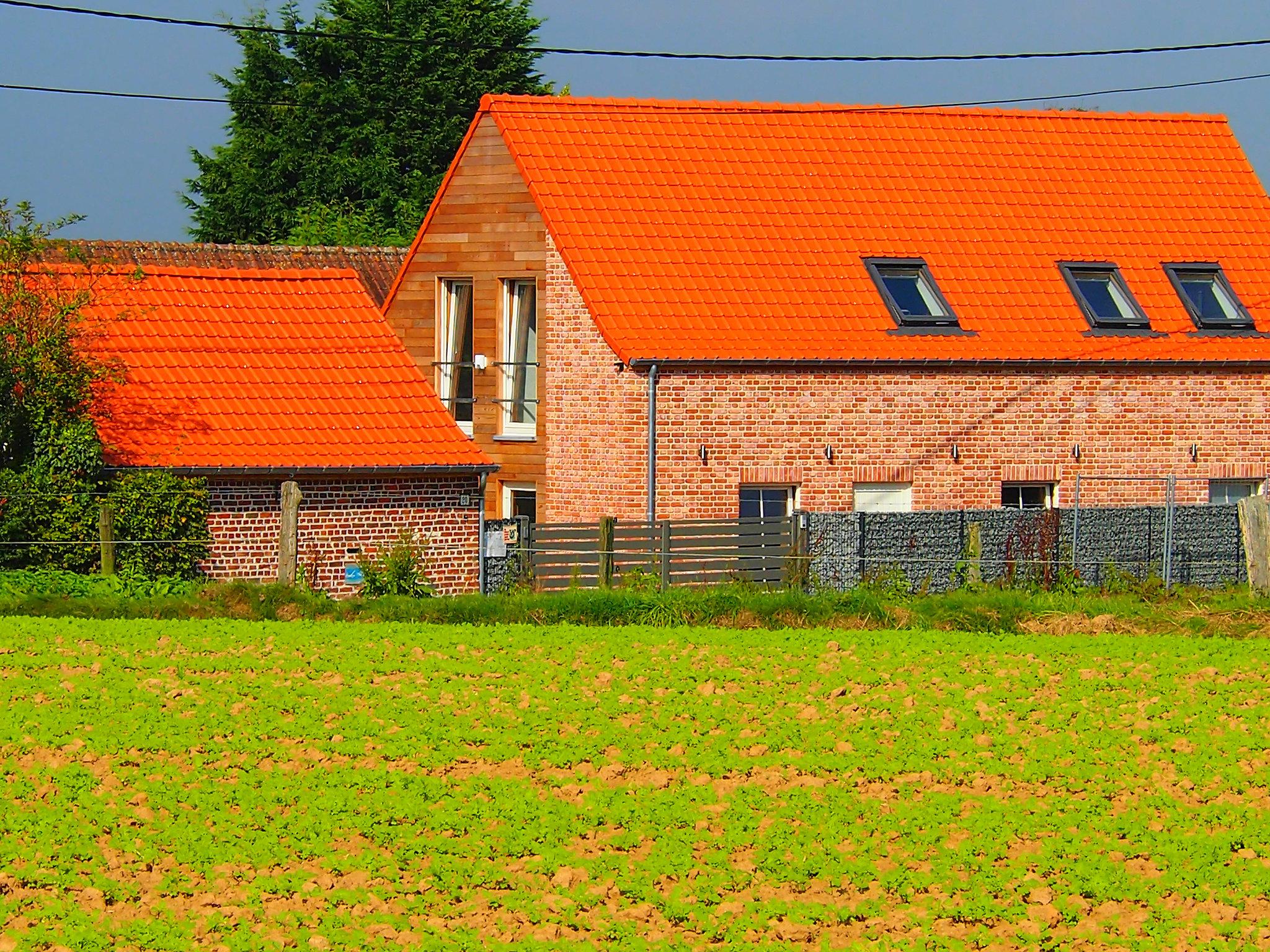 Photo 17 - Maison de 2 chambres à Ellezelles avec jardin et terrasse