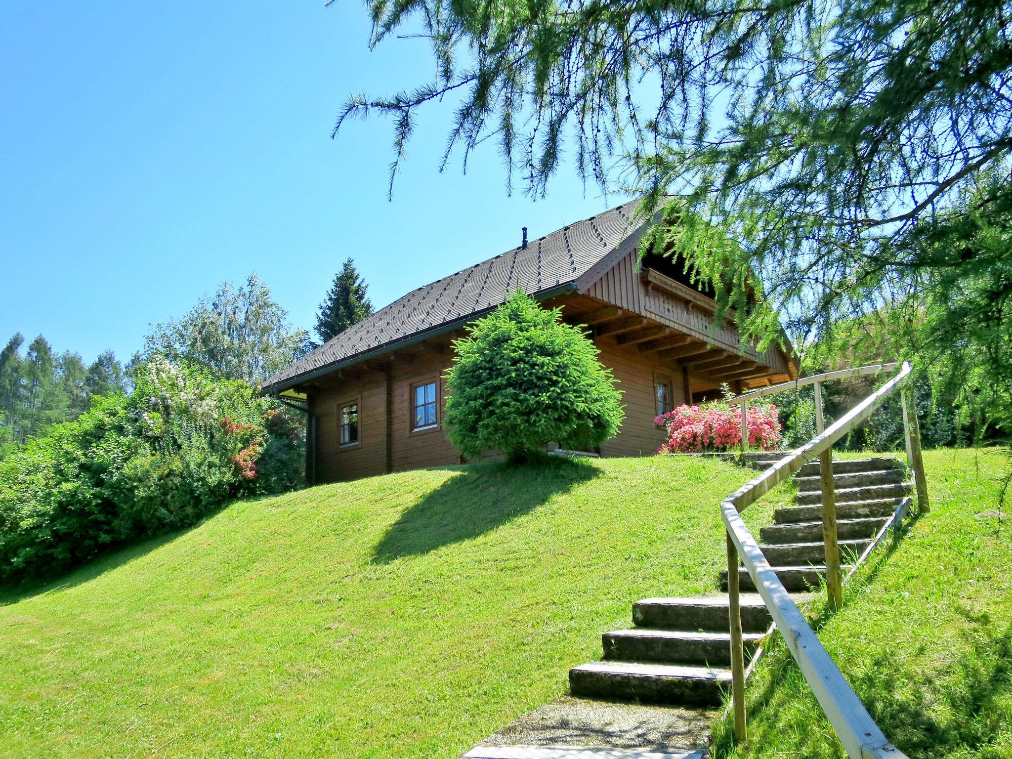 Photo 6 - Maison de 3 chambres à Mitterberg-Sankt Martin avec jardin et terrasse