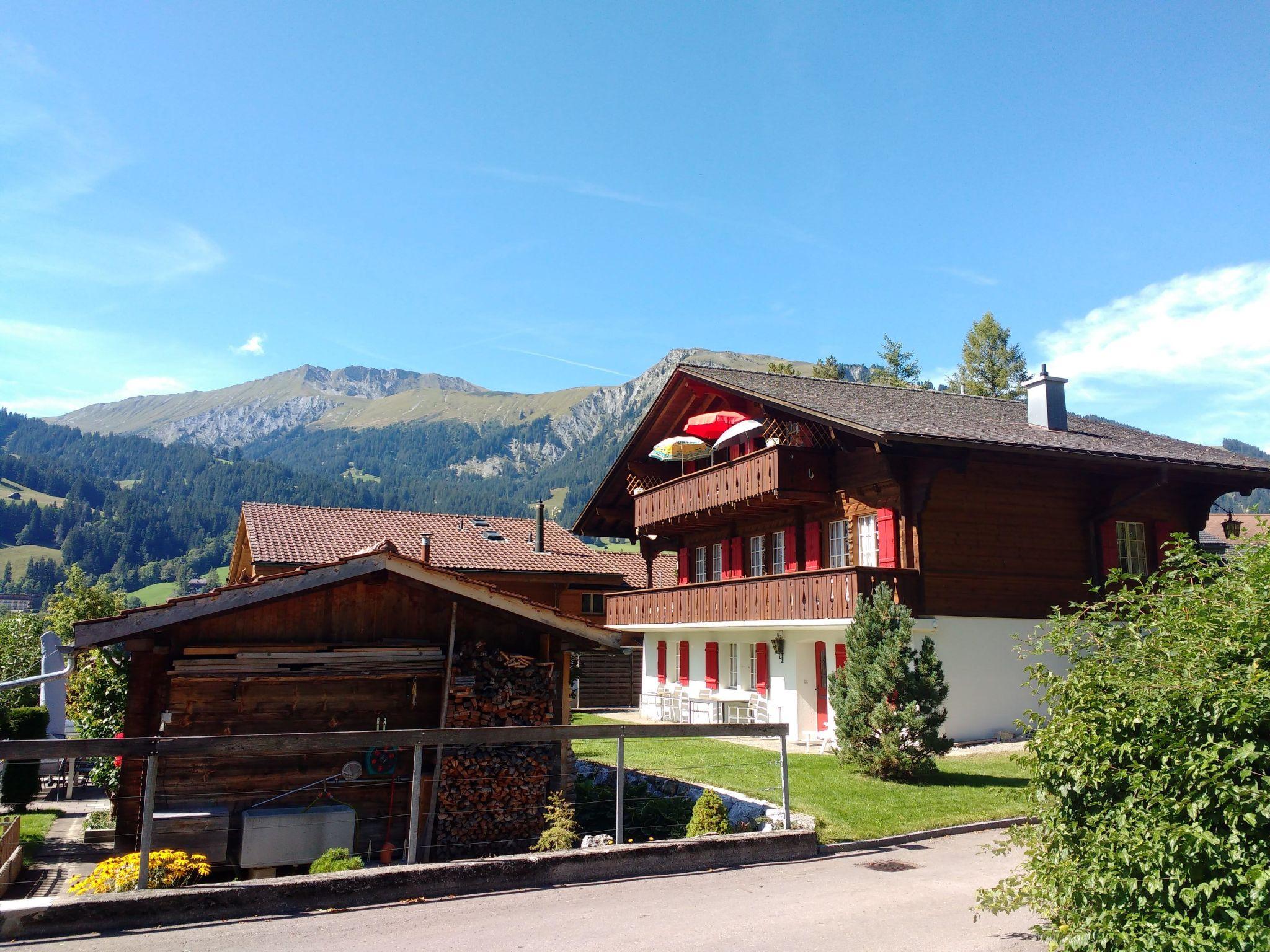 Photo 3 - 1 bedroom Apartment in Lenk