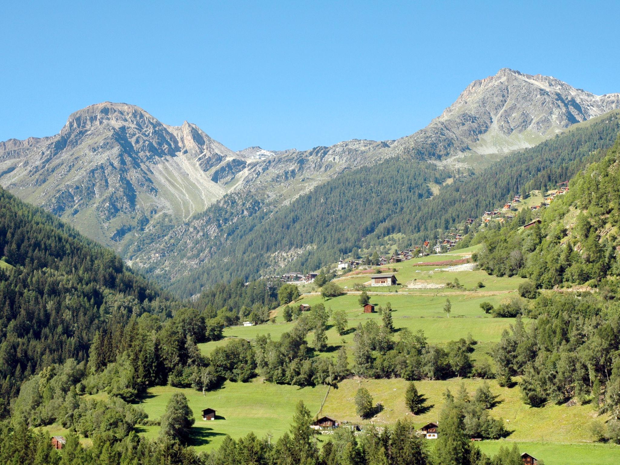 Photo 38 - Maison de 3 chambres à Anniviers avec terrasse et vues sur la montagne