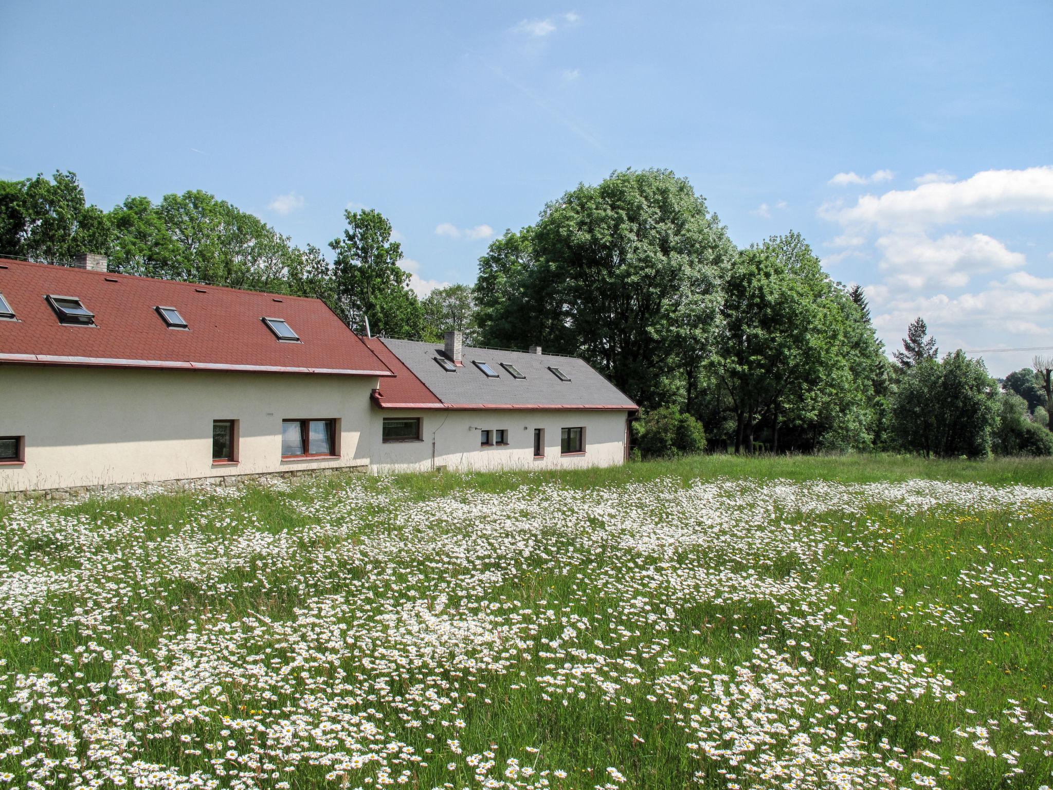 Photo 23 - Maison de 2 chambres à Strmilov avec jardin