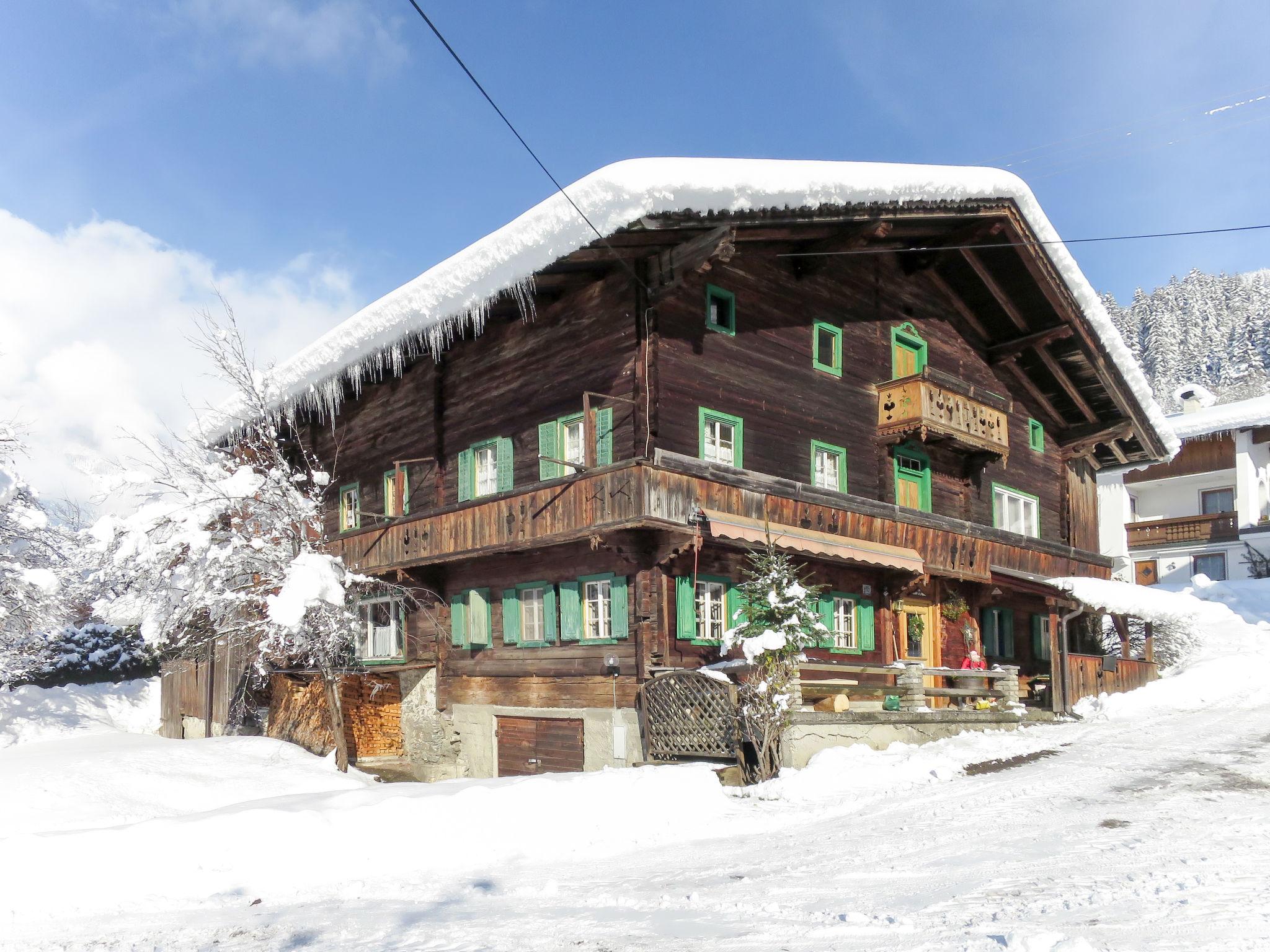 Foto 40 - Casa de 6 habitaciones en Ramsau im Zillertal con jardín y vistas a la montaña