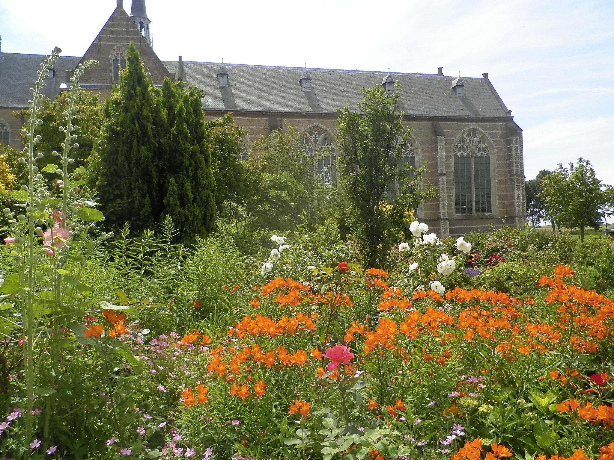 Photo 18 - Maison de 2 chambres à Brouwershaven avec jardin et terrasse