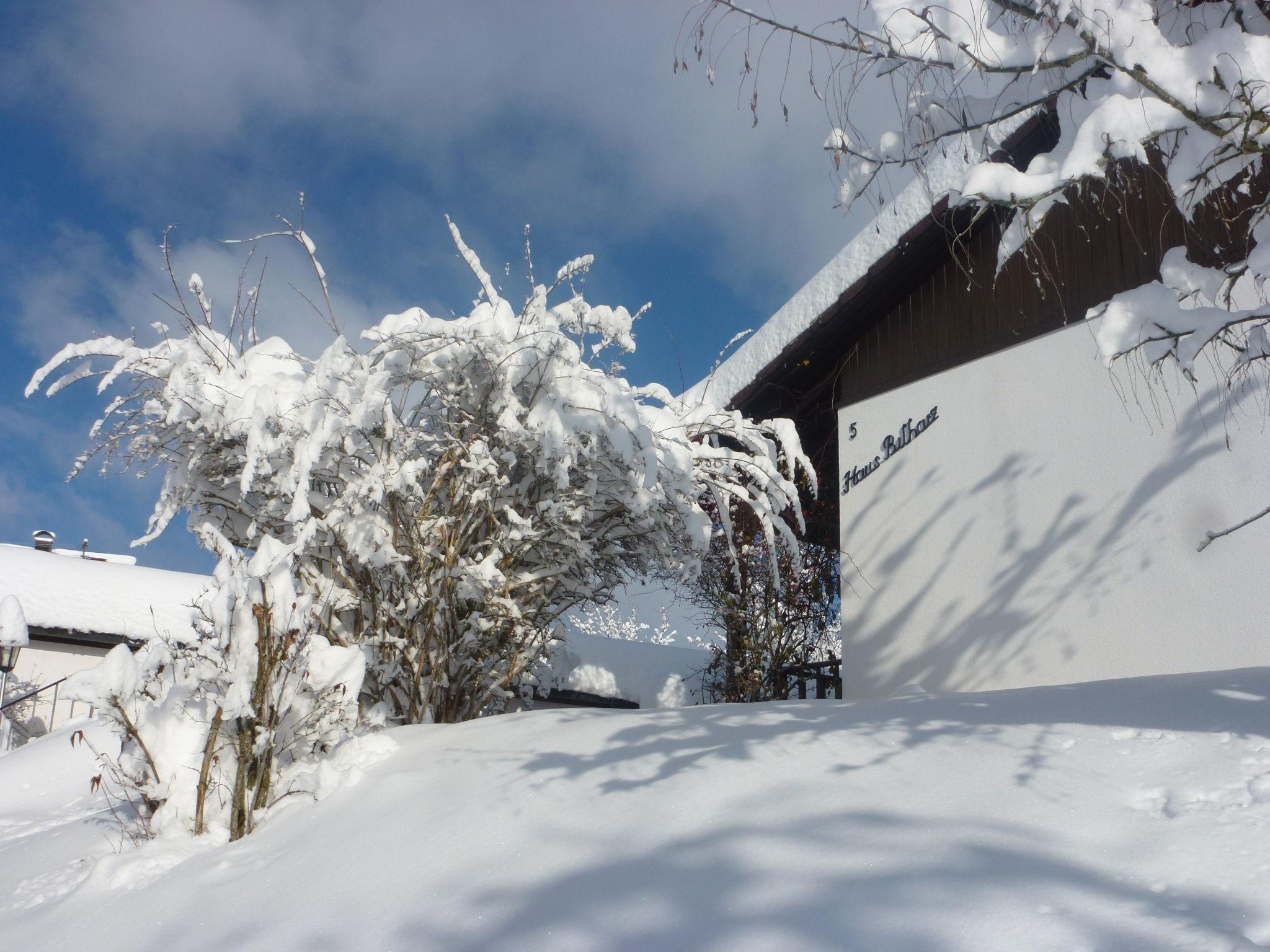 Photo 19 - Maison de 3 chambres à Löffingen avec terrasse et vues sur la montagne