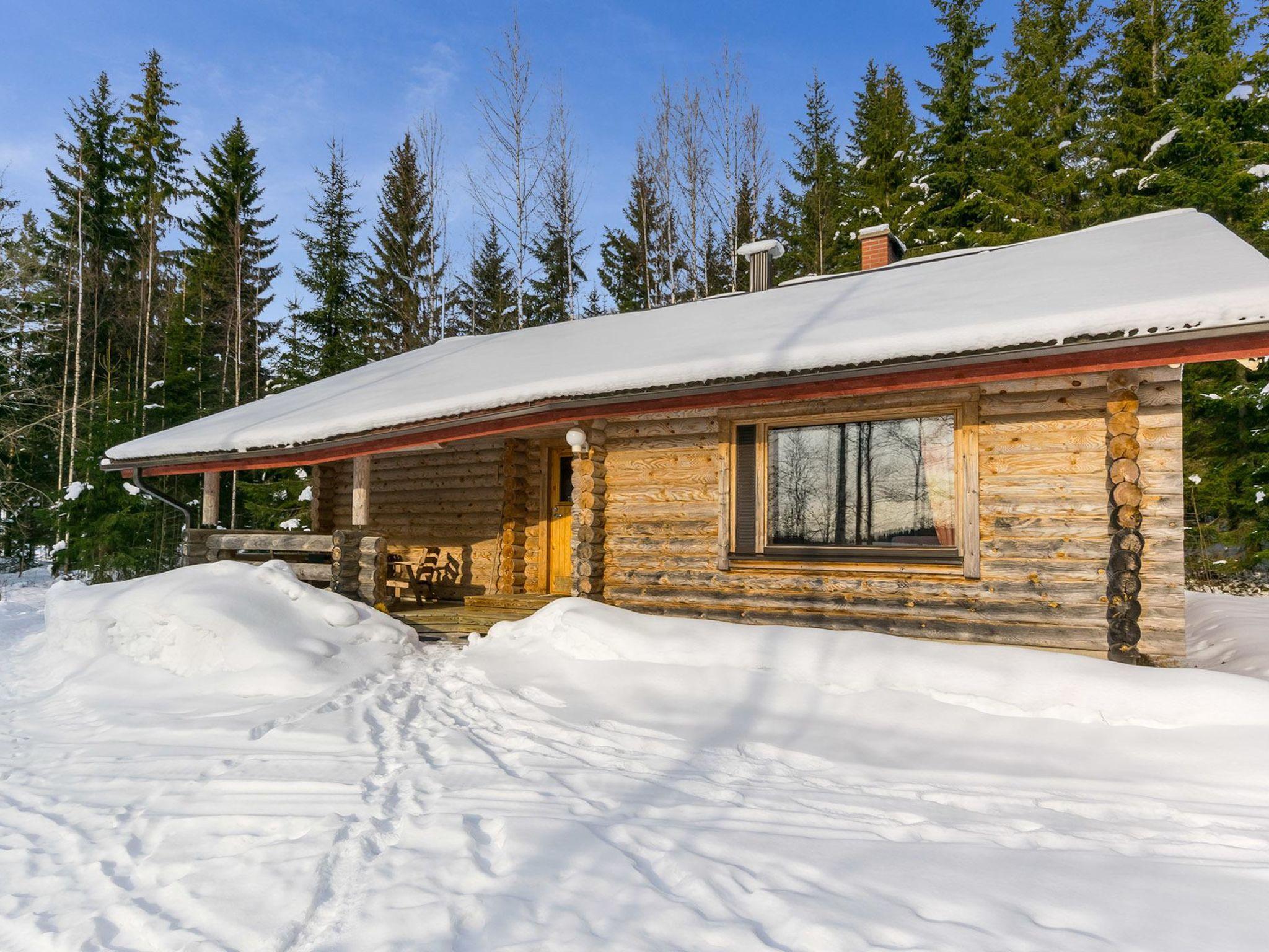 Photo 1 - Maison de 2 chambres à Hankasalmi avec sauna