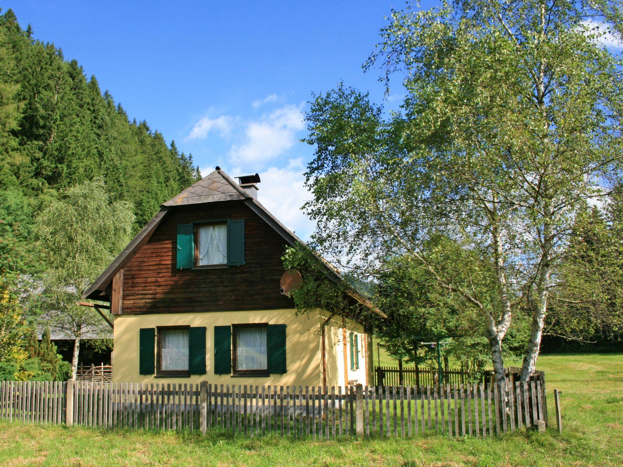 Foto 1 - Haus mit 1 Schlafzimmer in Pölstal mit garten und blick auf die berge