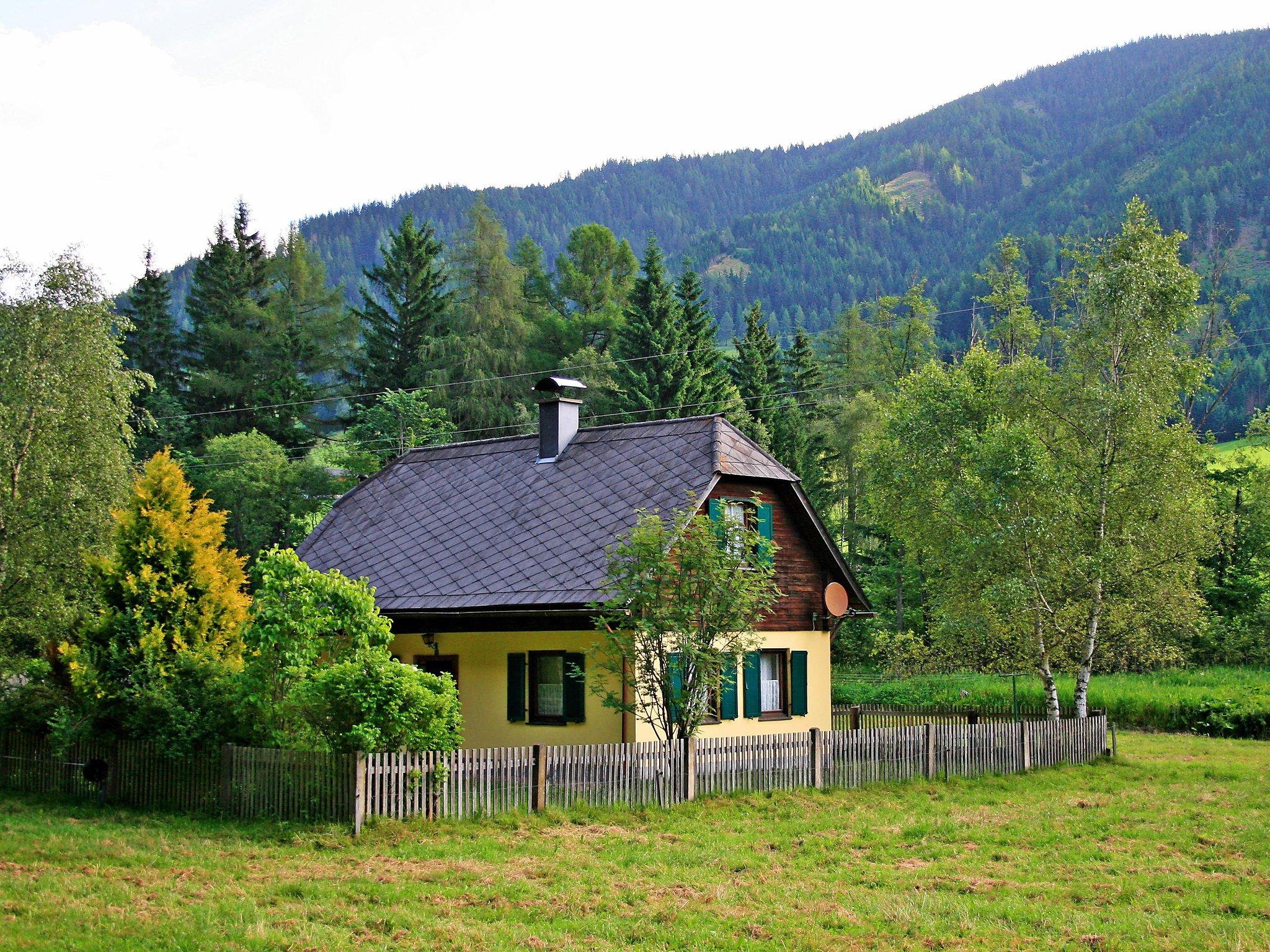 Foto 18 - Casa de 1 habitación en Pölstal con jardín y vistas a la montaña