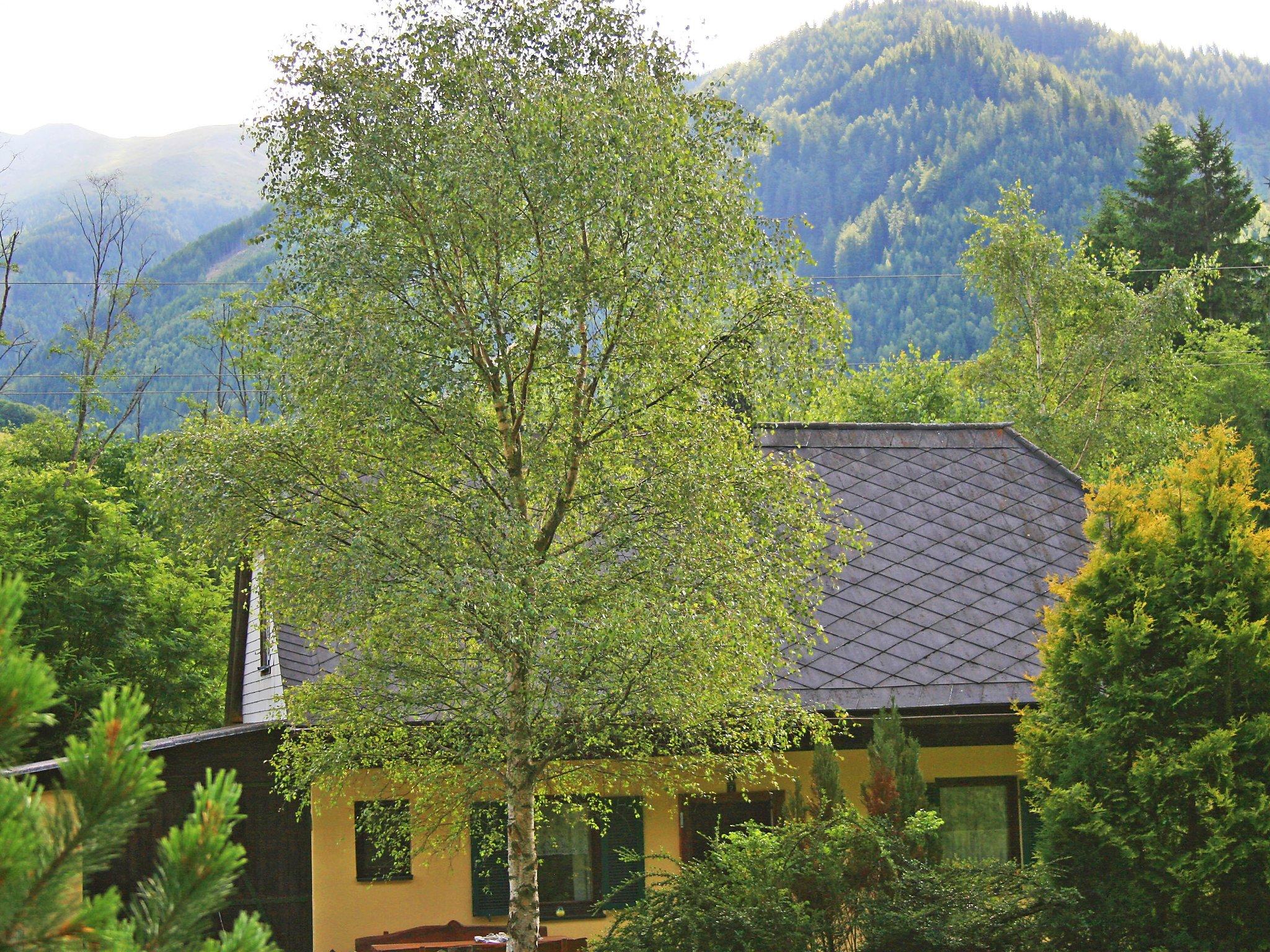 Foto 21 - Haus mit 1 Schlafzimmer in Pölstal mit garten und blick auf die berge