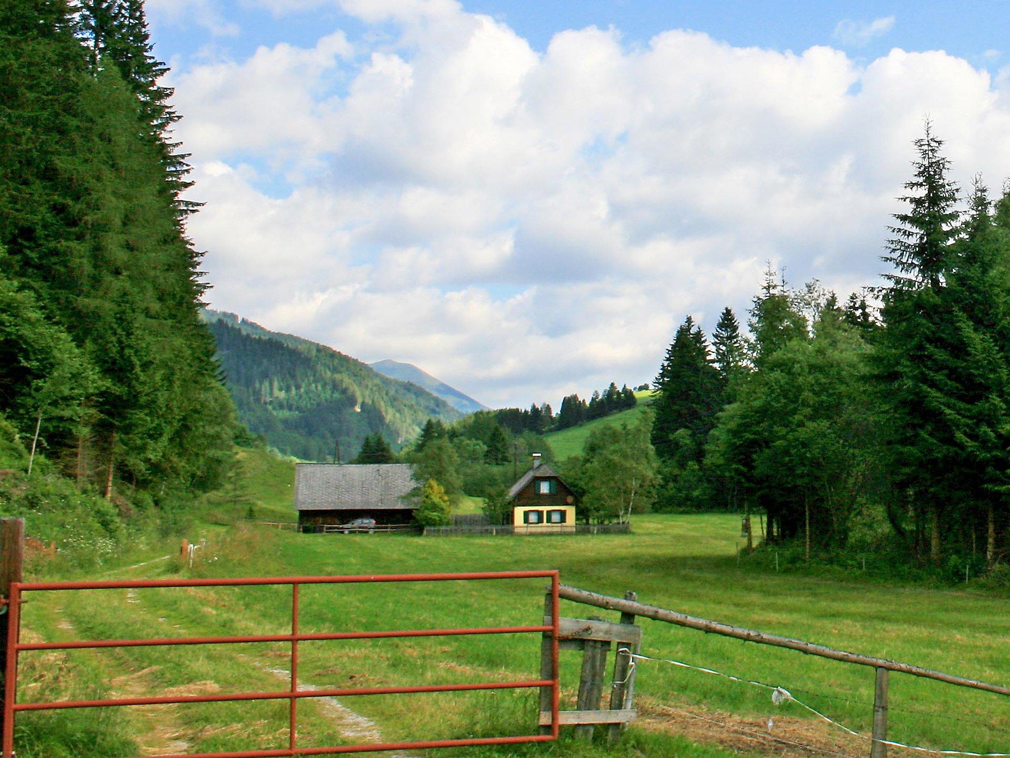 Foto 22 - Casa con 1 camera da letto a Pölstal con giardino e vista sulle montagne