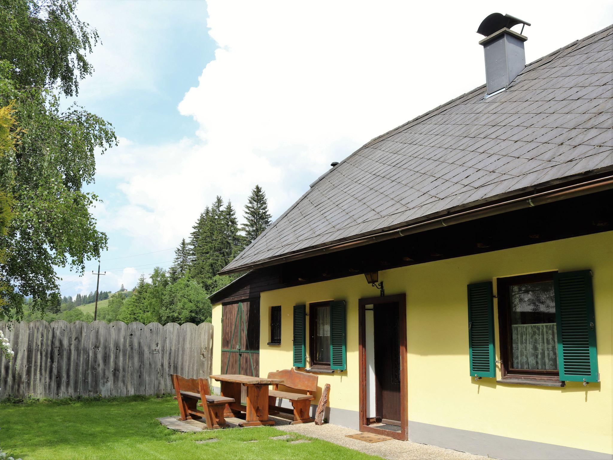 Photo 20 - Maison de 1 chambre à Pölstal avec jardin