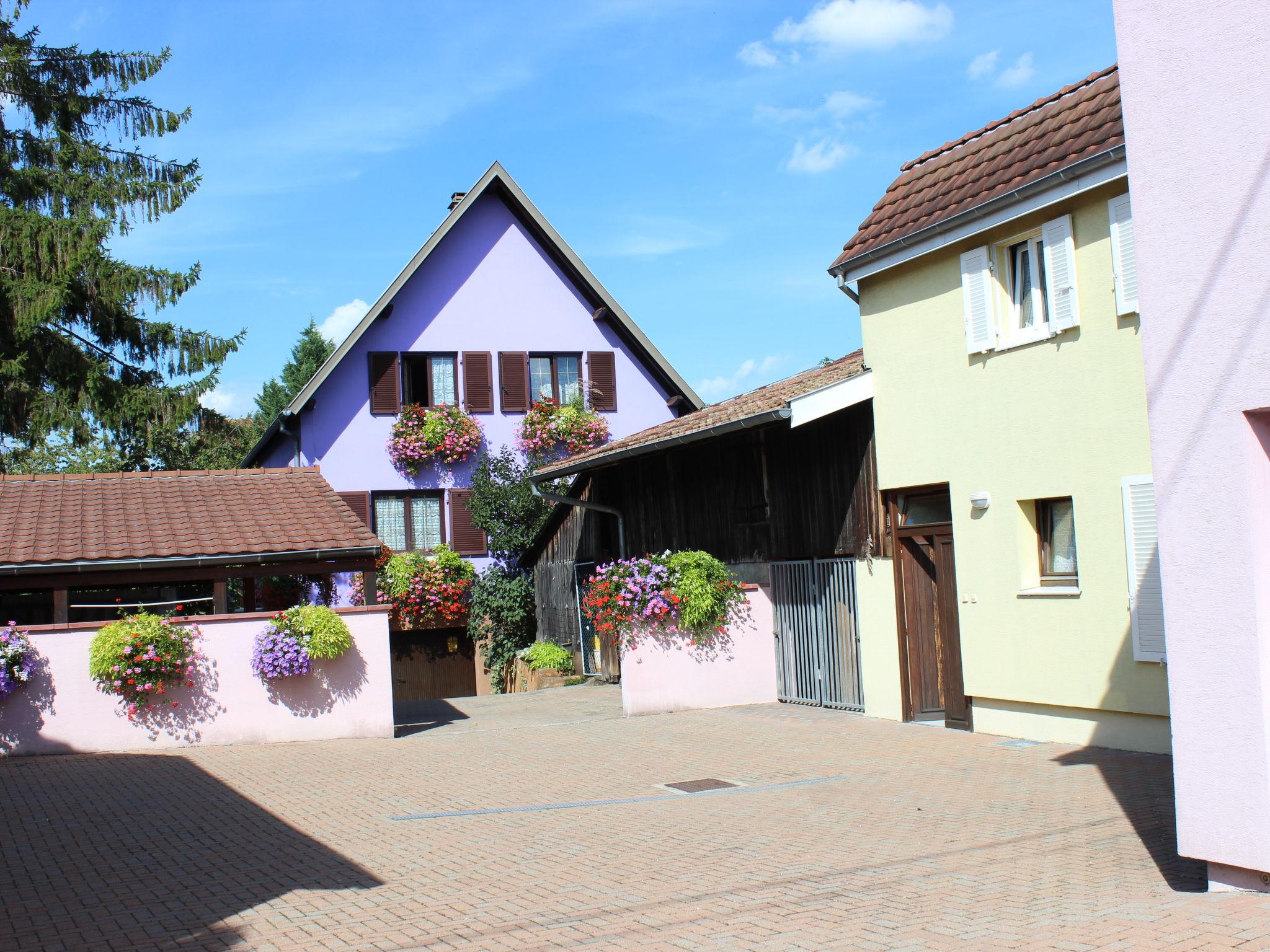 Foto 1 - Apartamento de 1 habitación en Marckolsheim