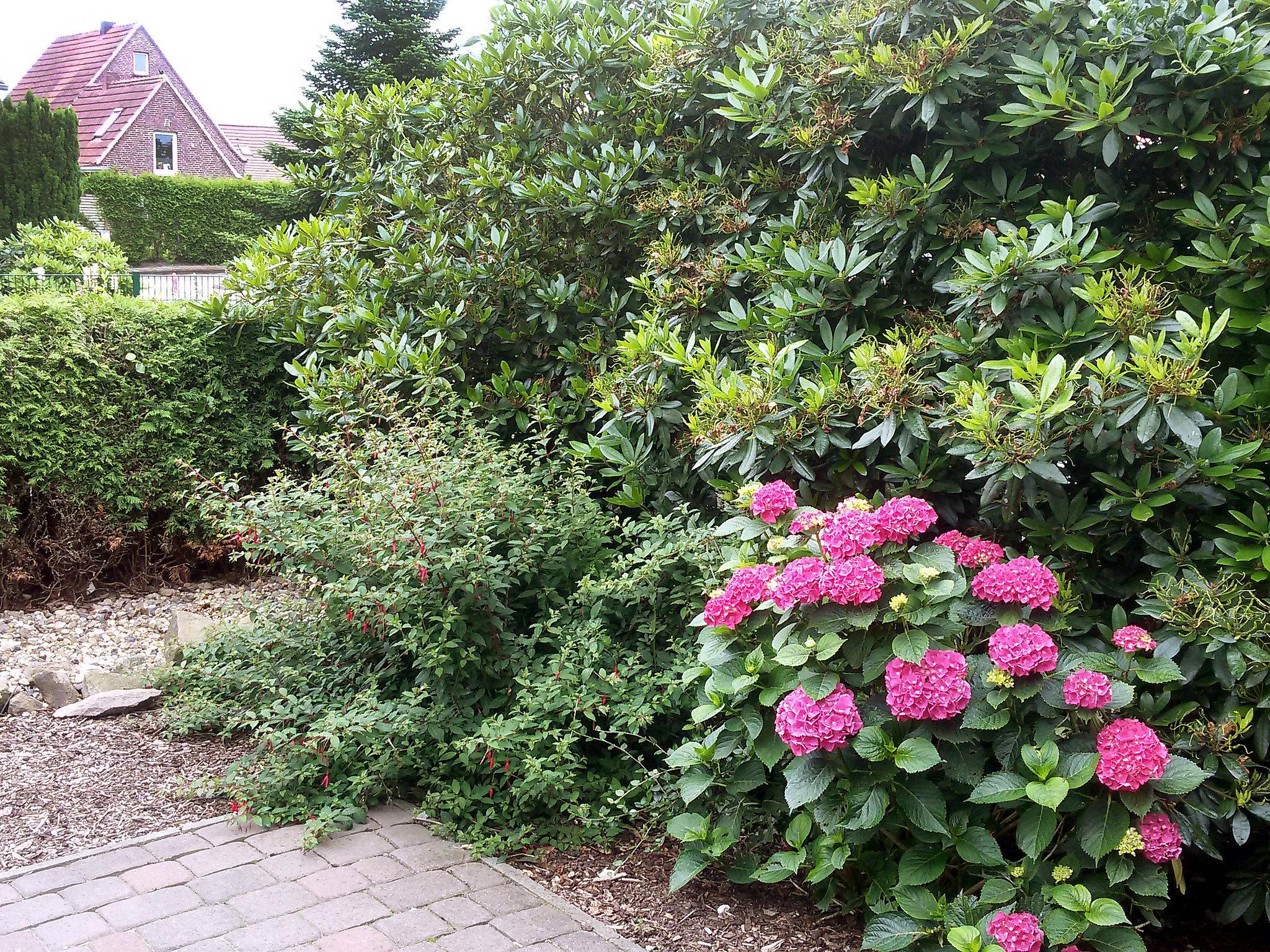 Photo 20 - Maison de 2 chambres à Hage avec jardin et vues à la mer