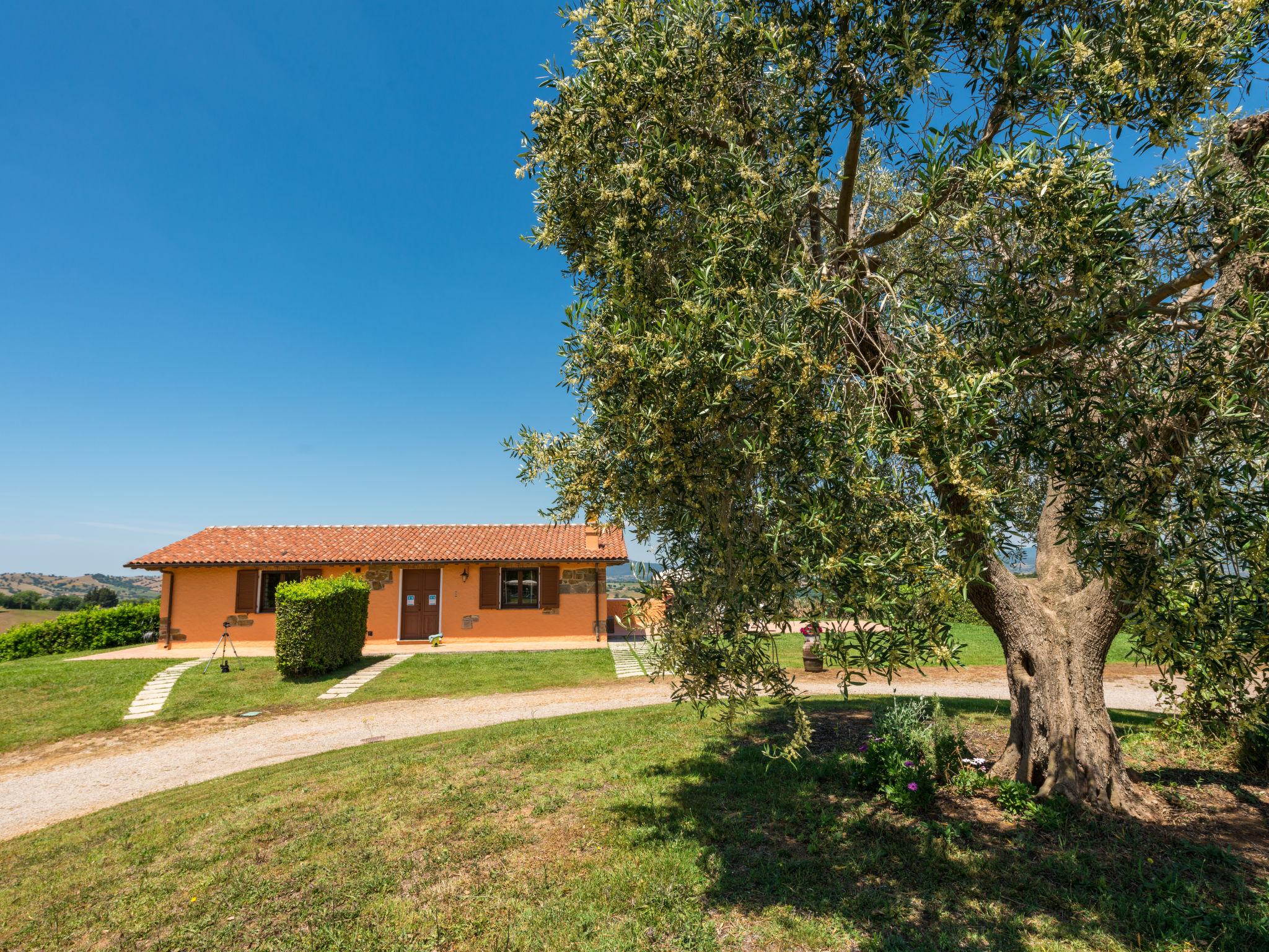 Foto 2 - Casa de 2 quartos em Scansano com piscina e jardim