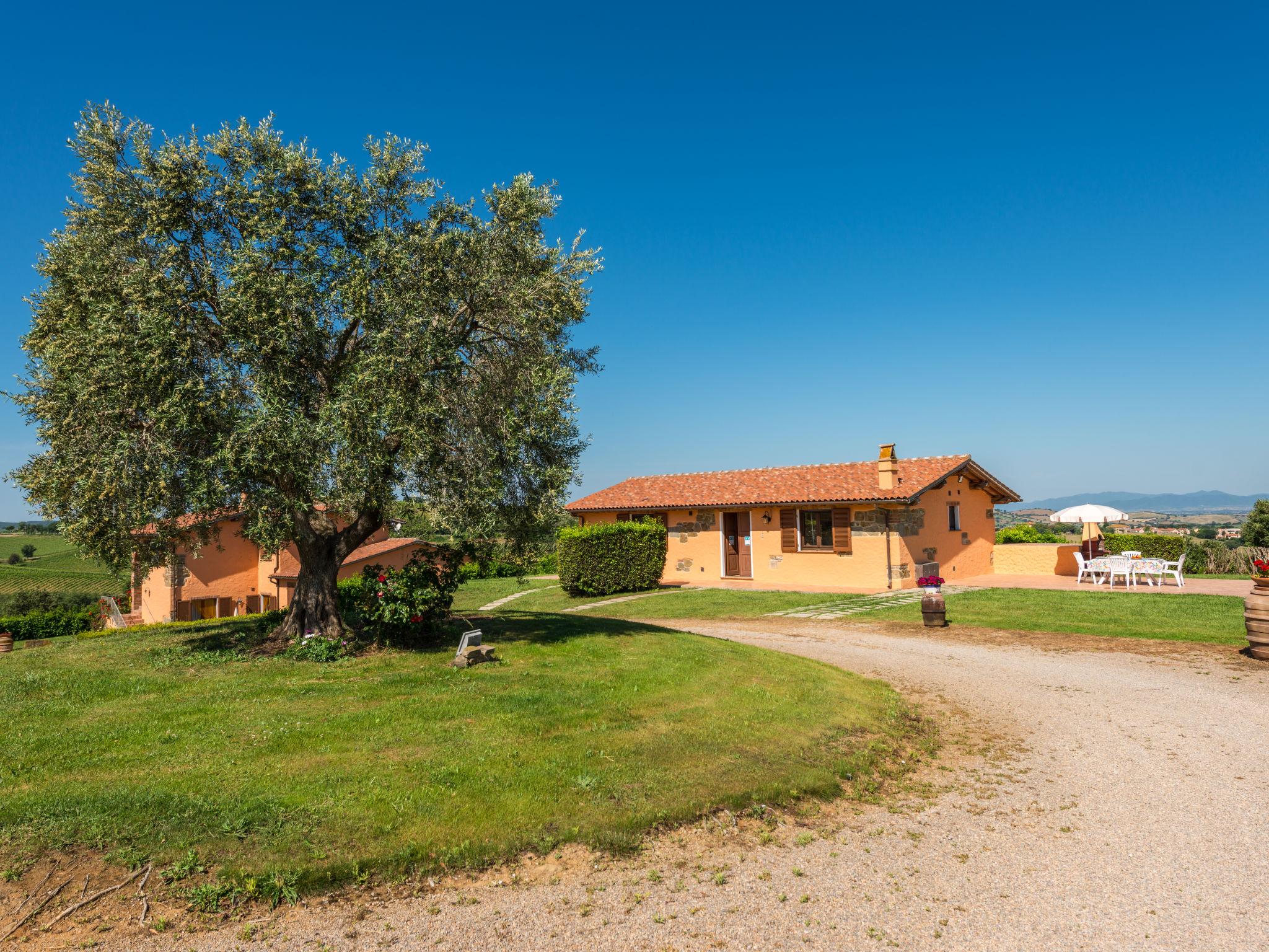 Photo 20 - Maison de 2 chambres à Scansano avec piscine et jardin