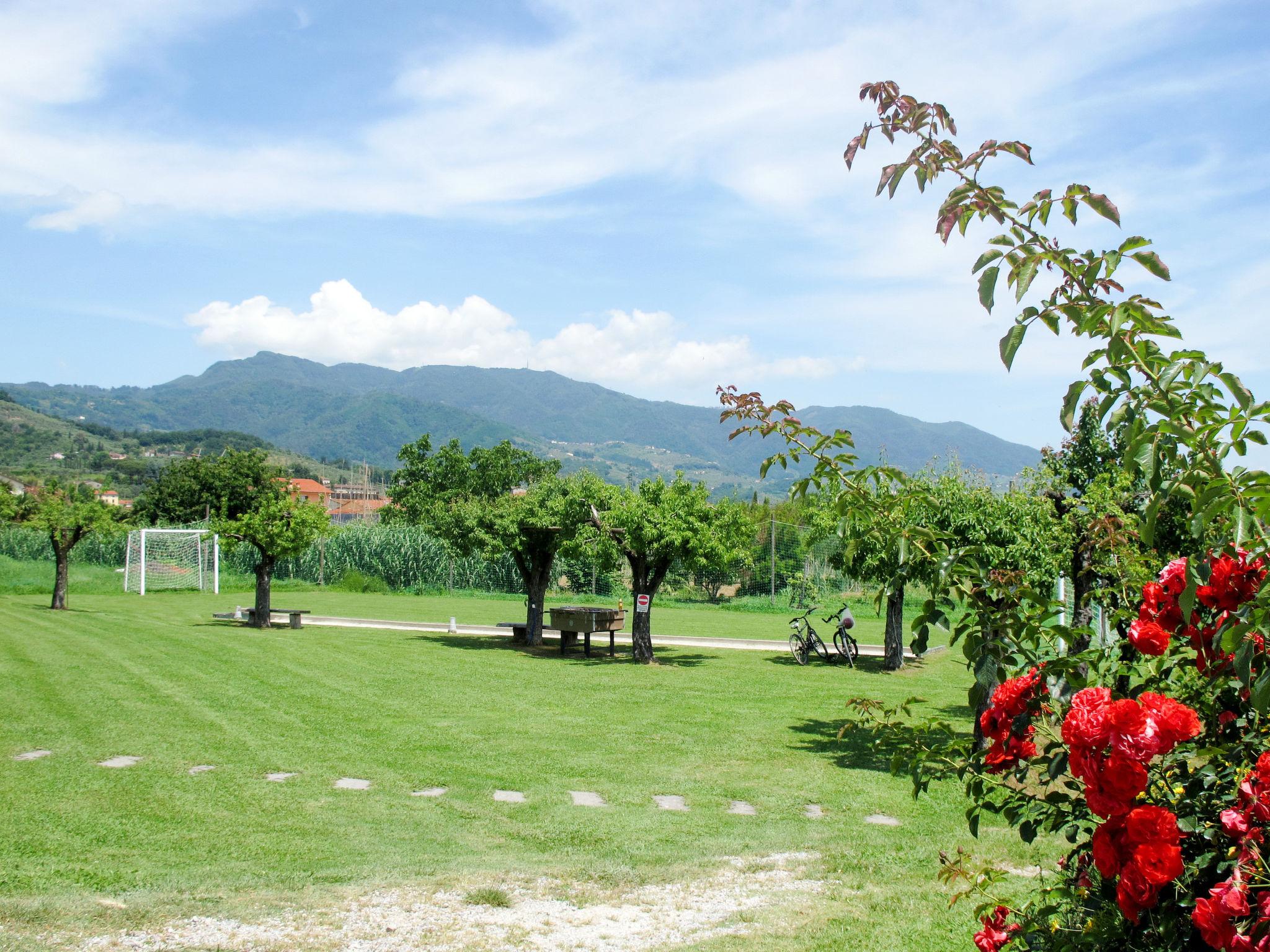 Photo 37 - 2 bedroom Apartment in Lucca with swimming pool and garden