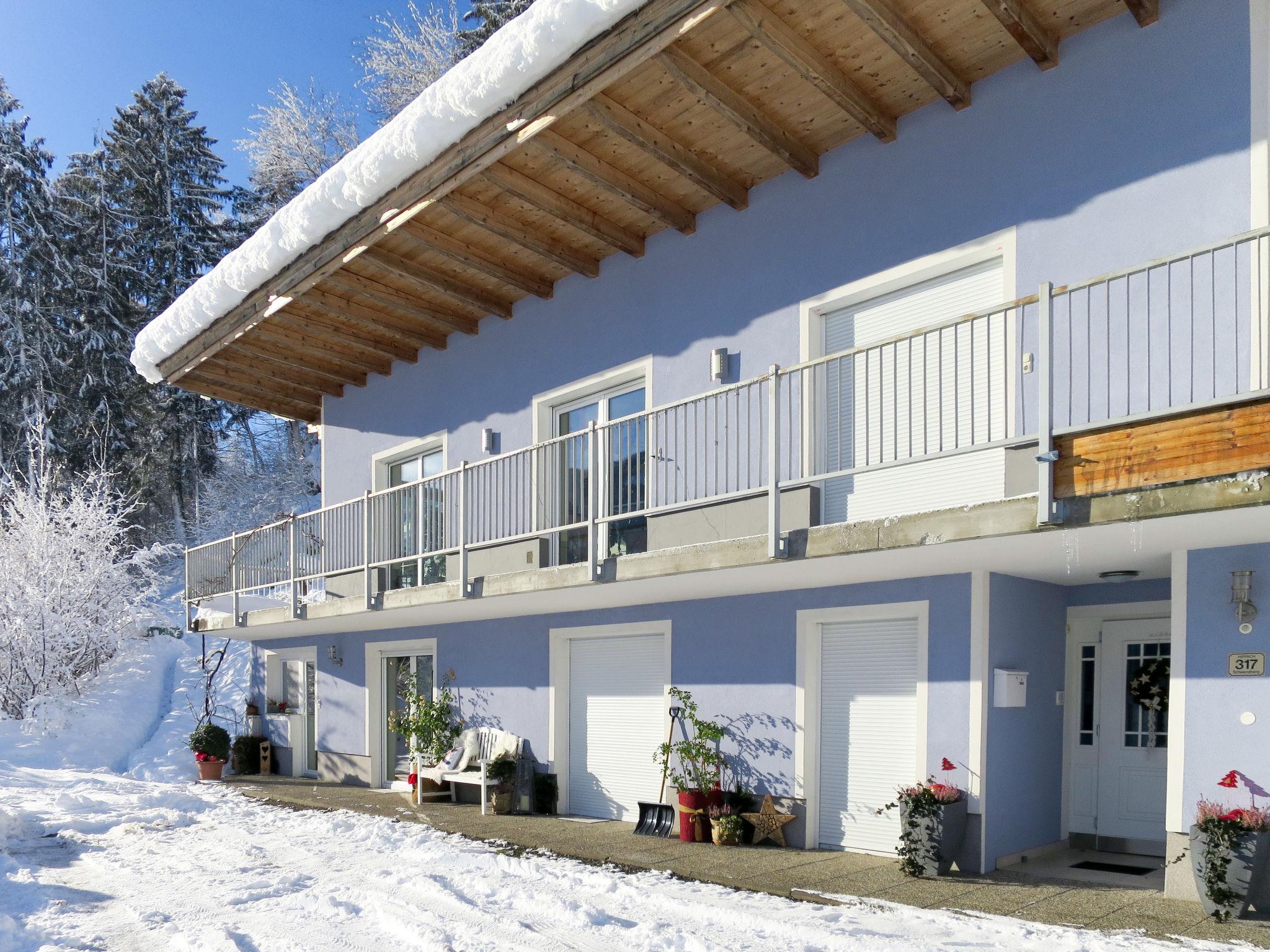 Photo 13 - Appartement de 1 chambre à Hippach avec terrasse et vues sur la montagne