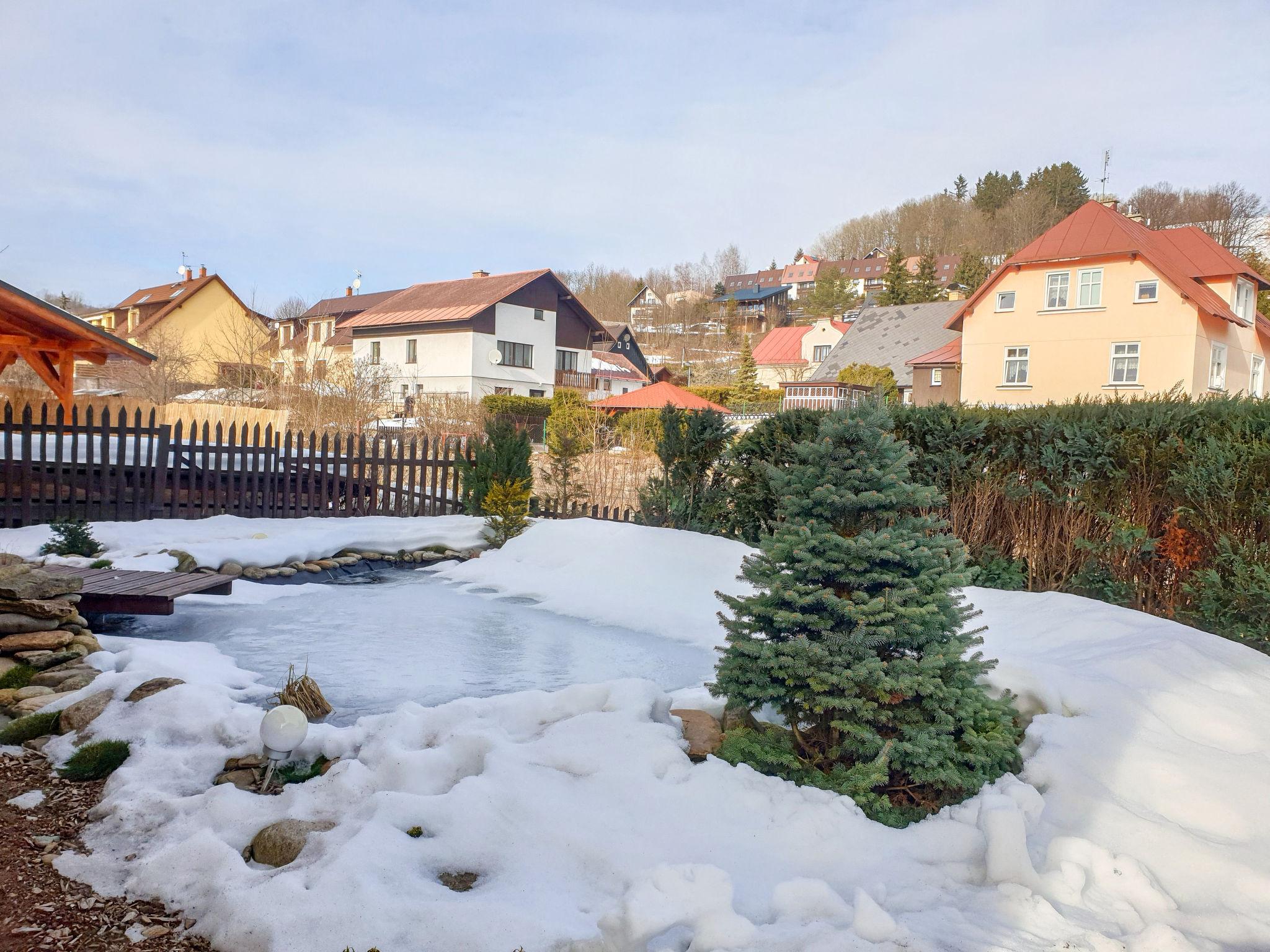 Photo 24 - 1 bedroom Apartment in Vrchlabí with private pool and garden