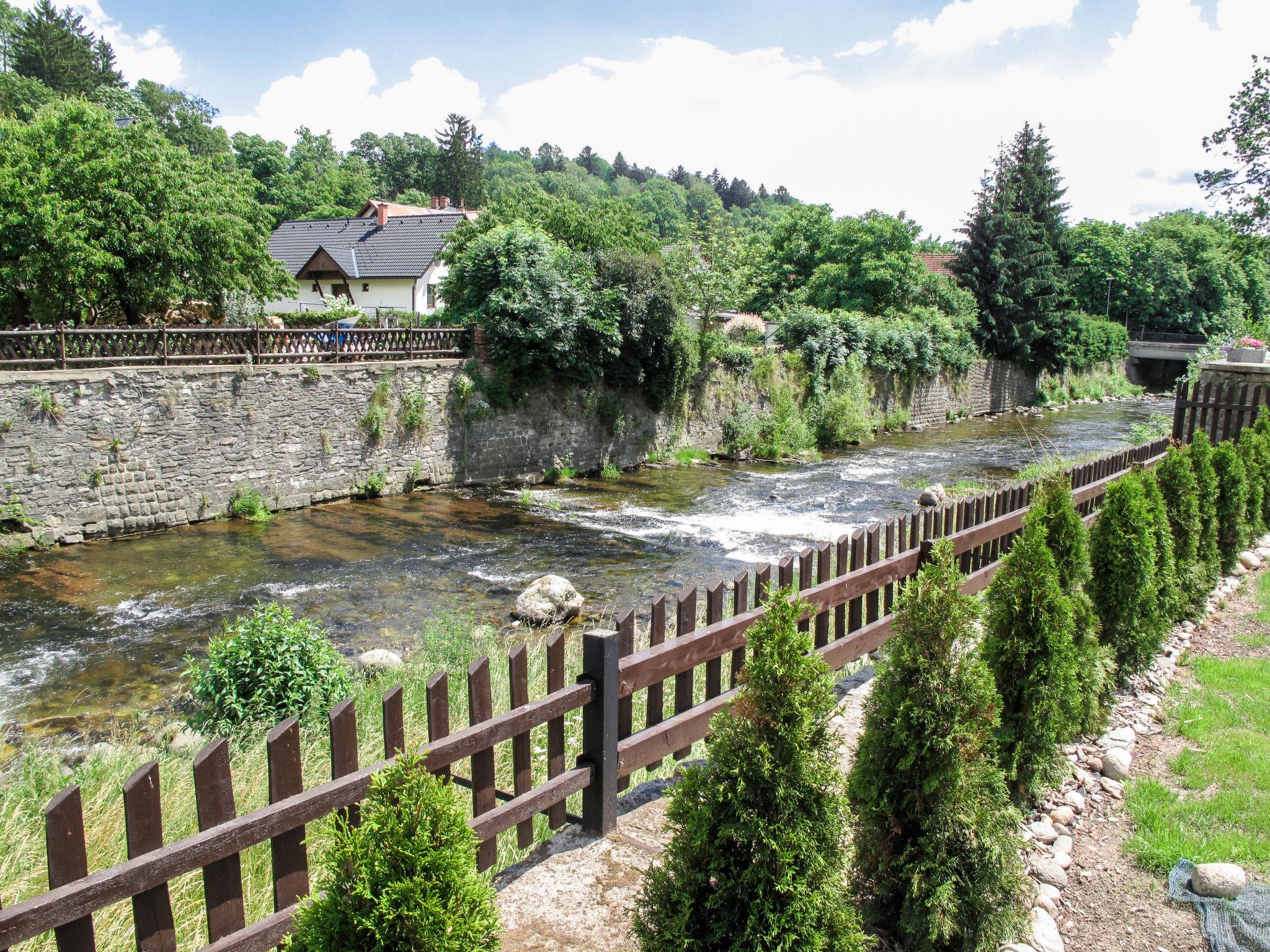 Photo 6 - 1 bedroom Apartment in Vrchlabí with private pool and garden