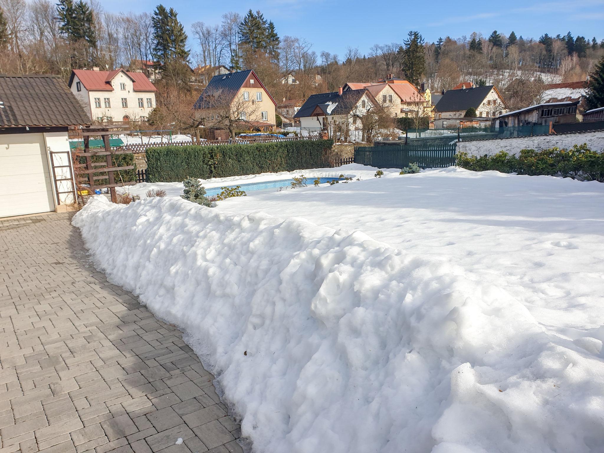 Foto 25 - Appartamento con 1 camera da letto a Vrchlabí con piscina privata e giardino