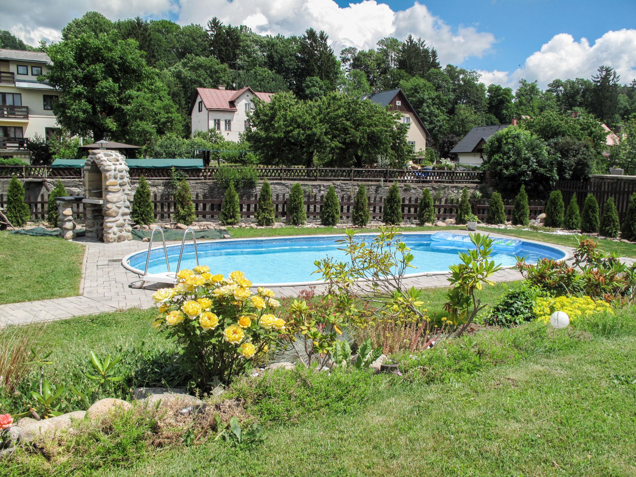 Foto 19 - Appartamento con 1 camera da letto a Vrchlabí con piscina privata e giardino