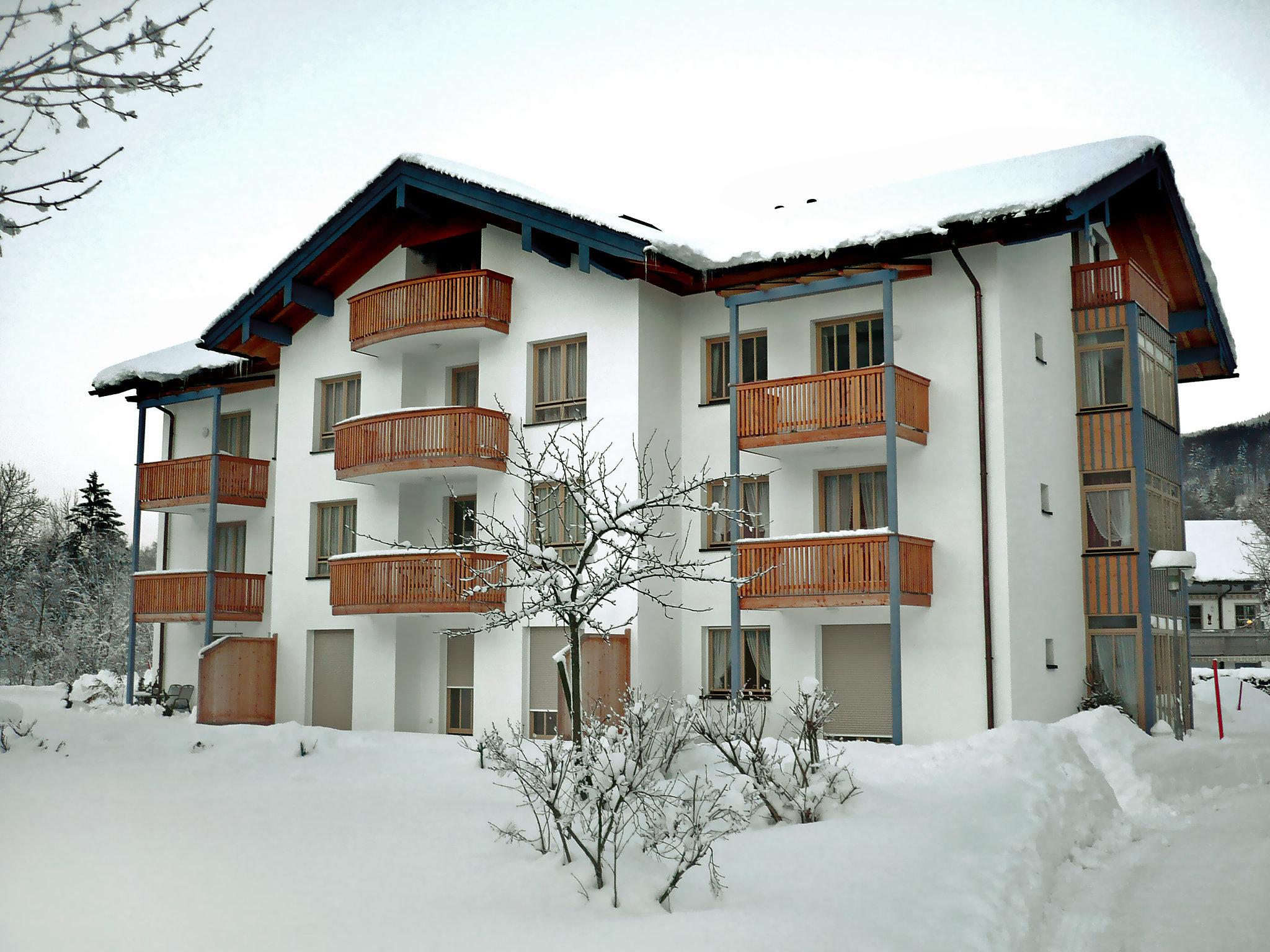 Foto 12 - Apartamento de 1 habitación en Ruhpolding con vistas a la montaña