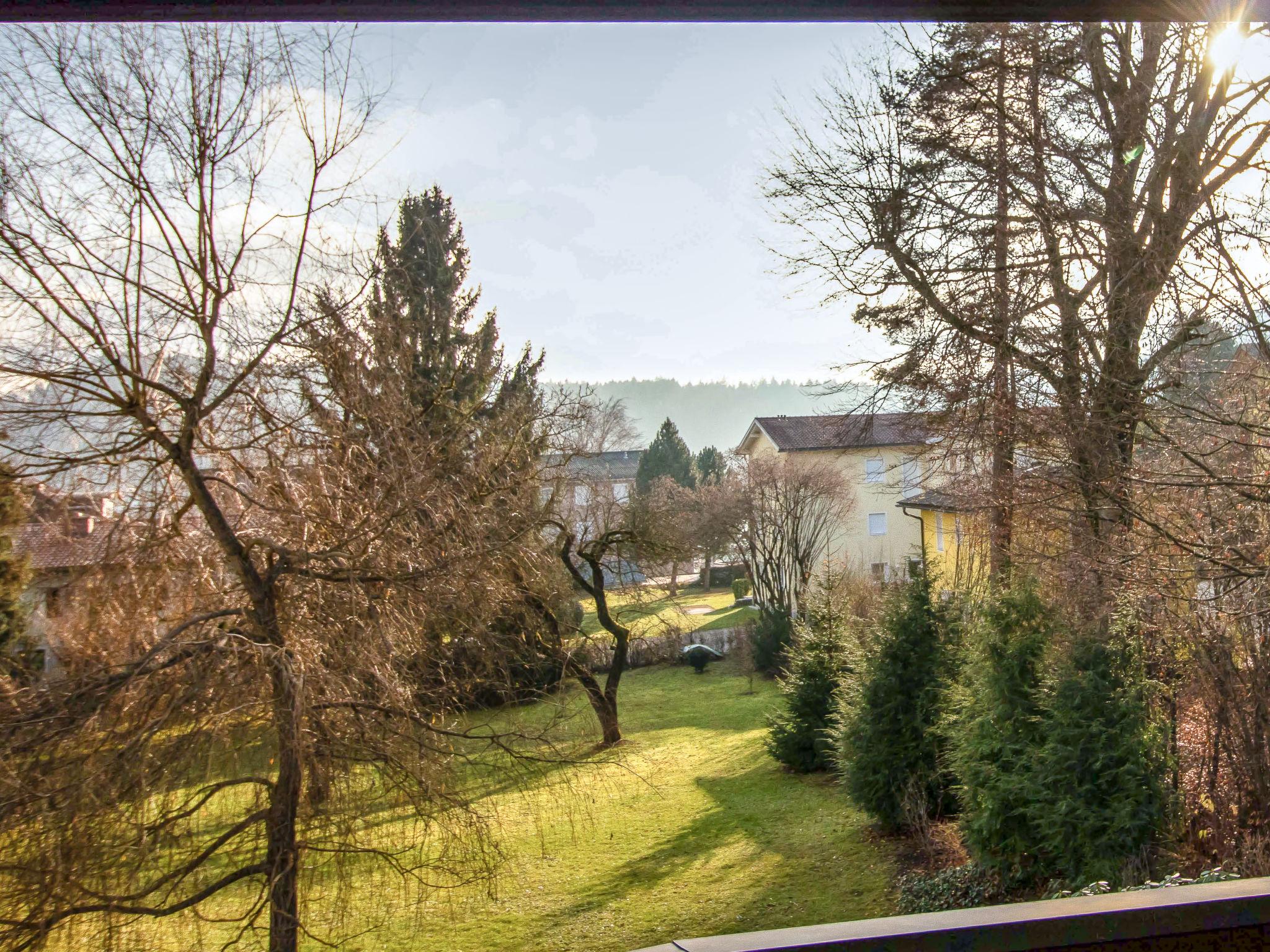 Foto 11 - Apartamento de 1 quarto em Sankt Kanzian am Klopeiner See com vista para a montanha