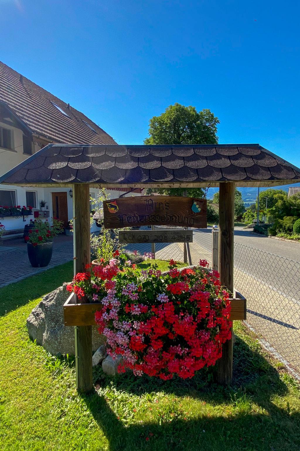 Photo 20 - 3 bedroom Apartment in Wangenried with garden