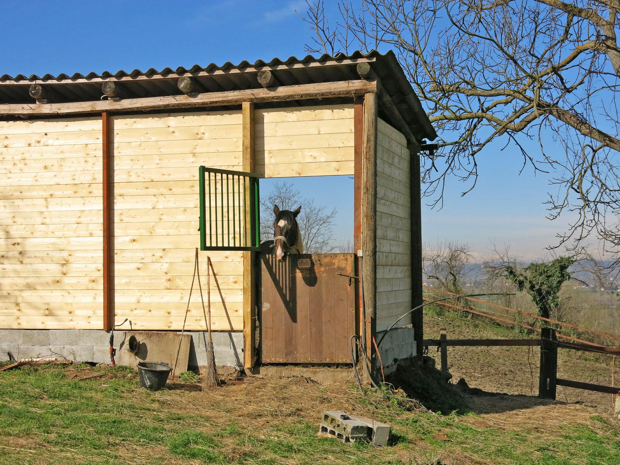 Foto 31 - Apartamento de 3 habitaciones en Azzano d'Asti con piscina y jardín