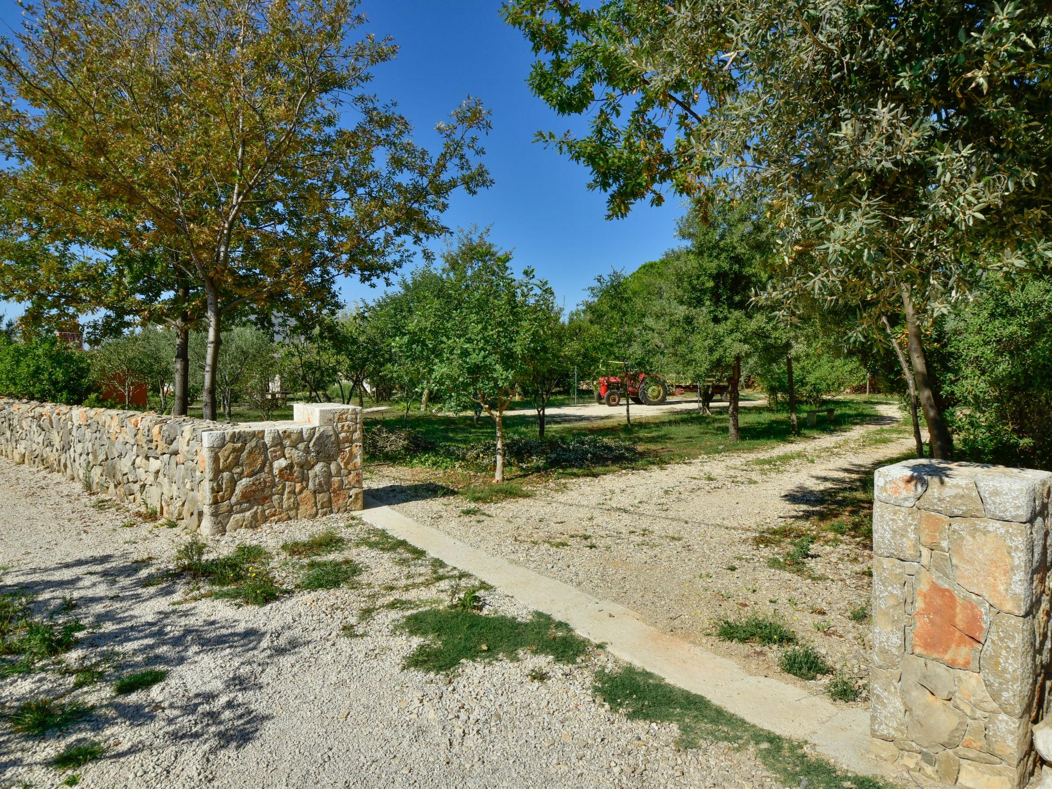 Foto 13 - Appartamento con 3 camere da letto a Vir con giardino e terrazza