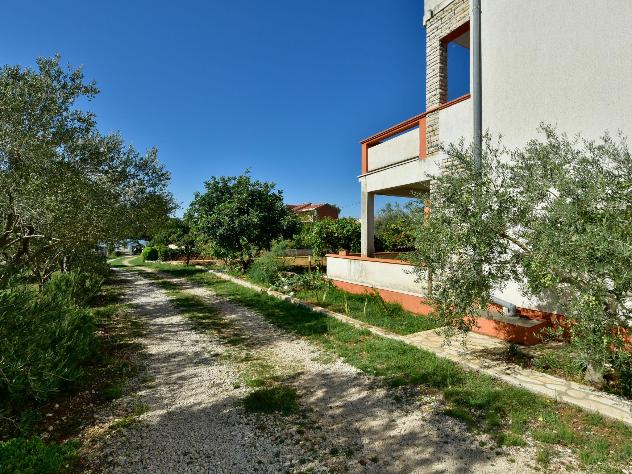 Foto 16 - Appartamento con 3 camere da letto a Vir con giardino e vista mare