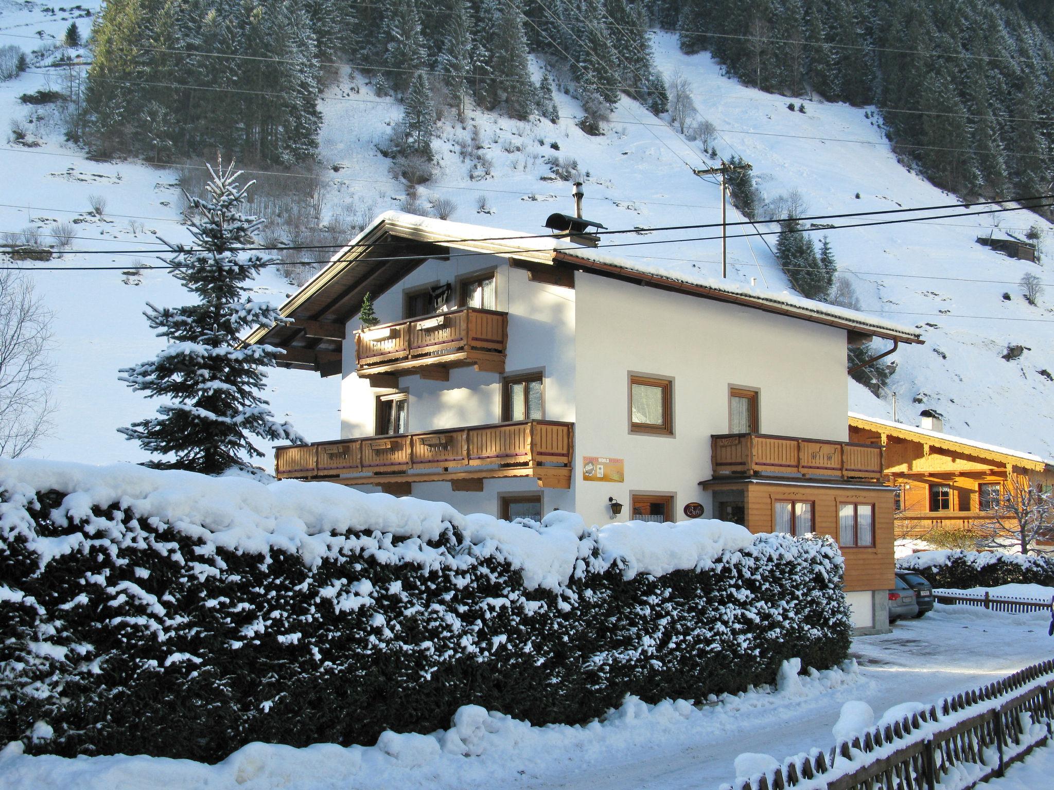 Photo 13 - Appartement de 3 chambres à Finkenberg avec vues sur la montagne