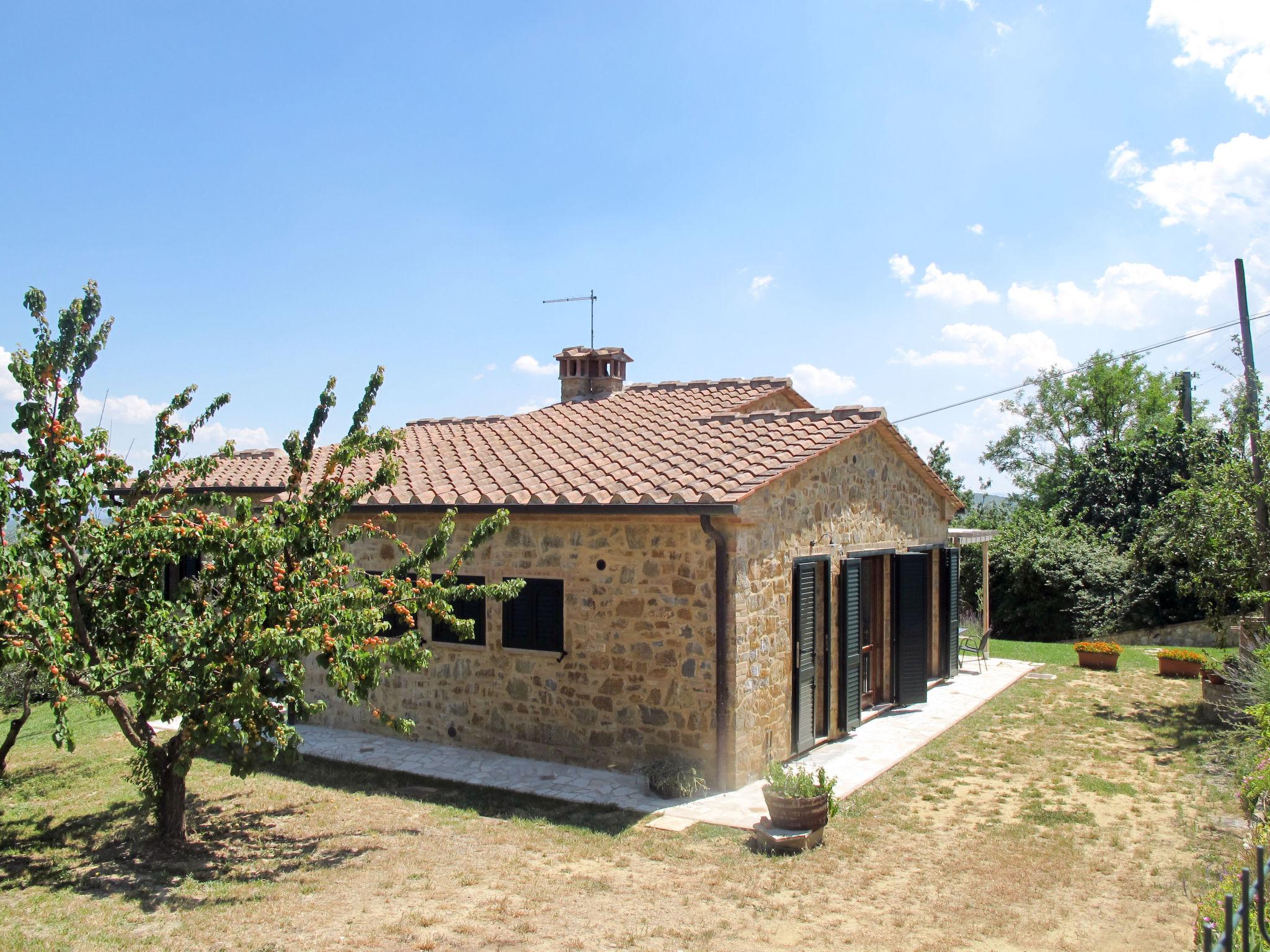 Foto 43 - Casa de 3 habitaciones en Colle di Val d'Elsa con piscina privada y jardín